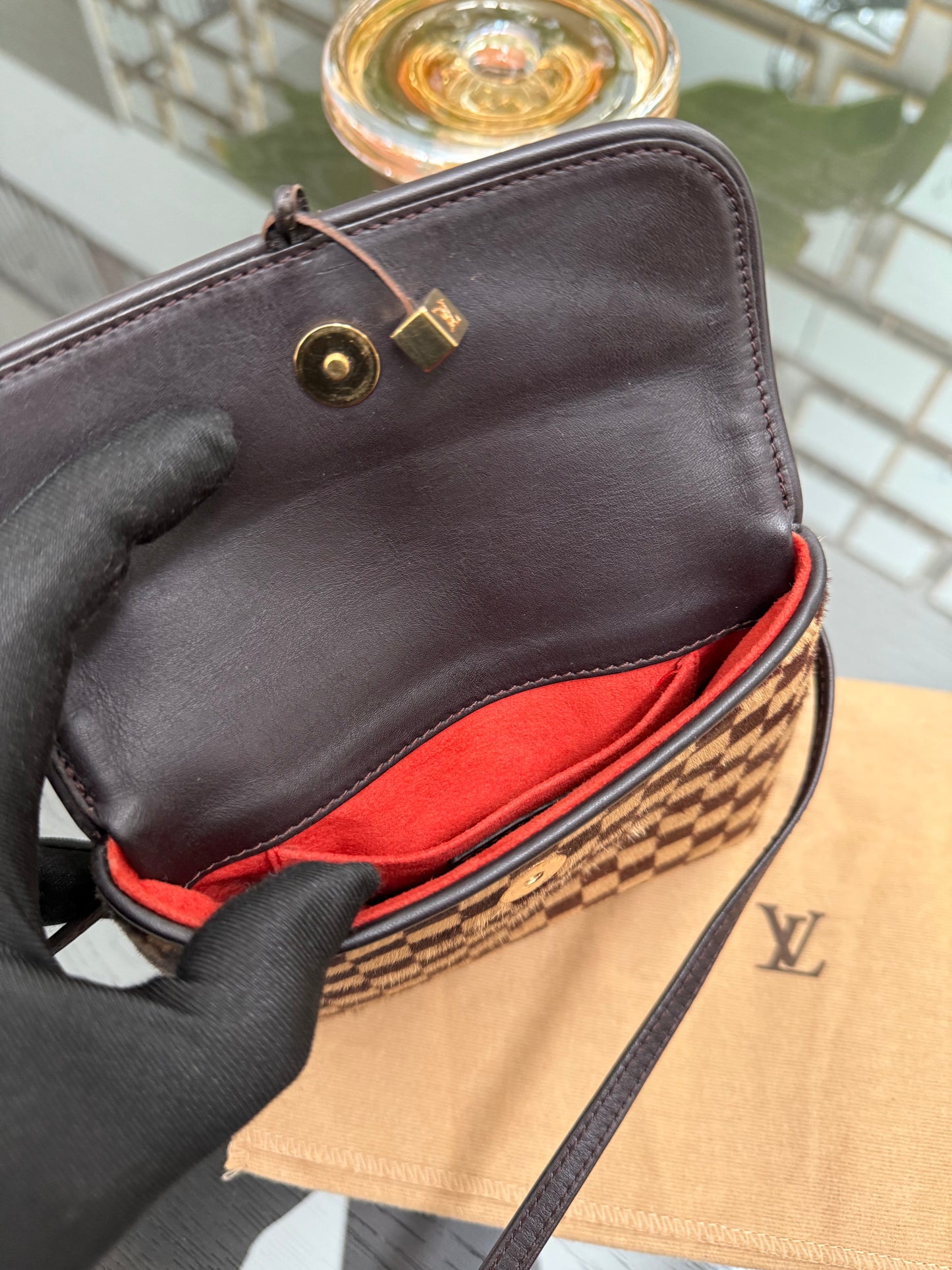 Damier Sauvage Gazelle Crossbody Pouch with Dustbag -🗓️ Year: 2001