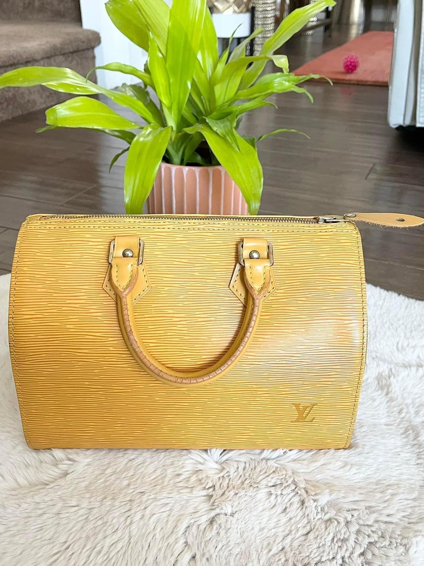 Epi Speedy 25 in Tassel Yellow -Year: 1994