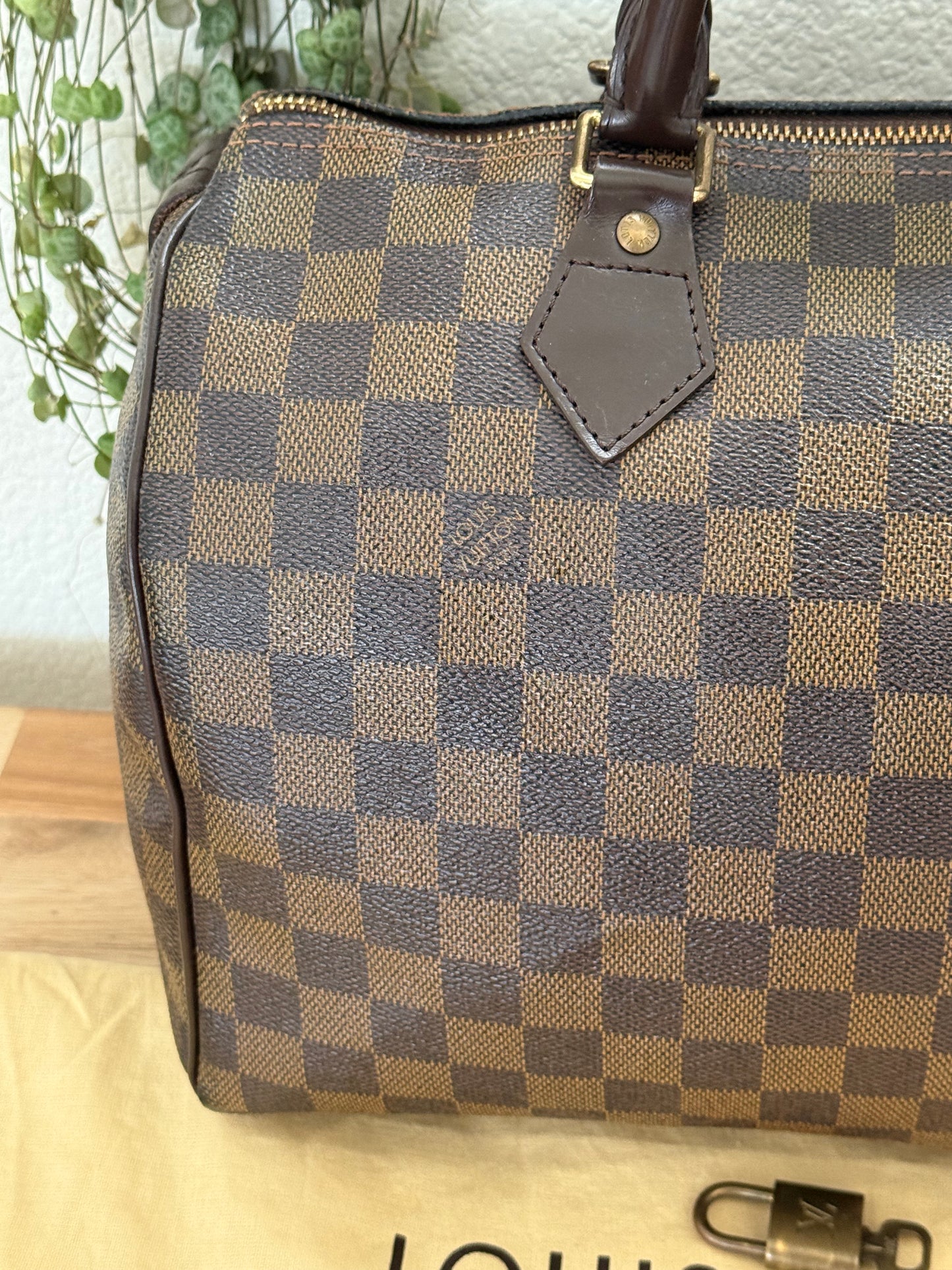 Speedy 30 in DE with π Lock & Key and Dustbag - π
Year: 2008