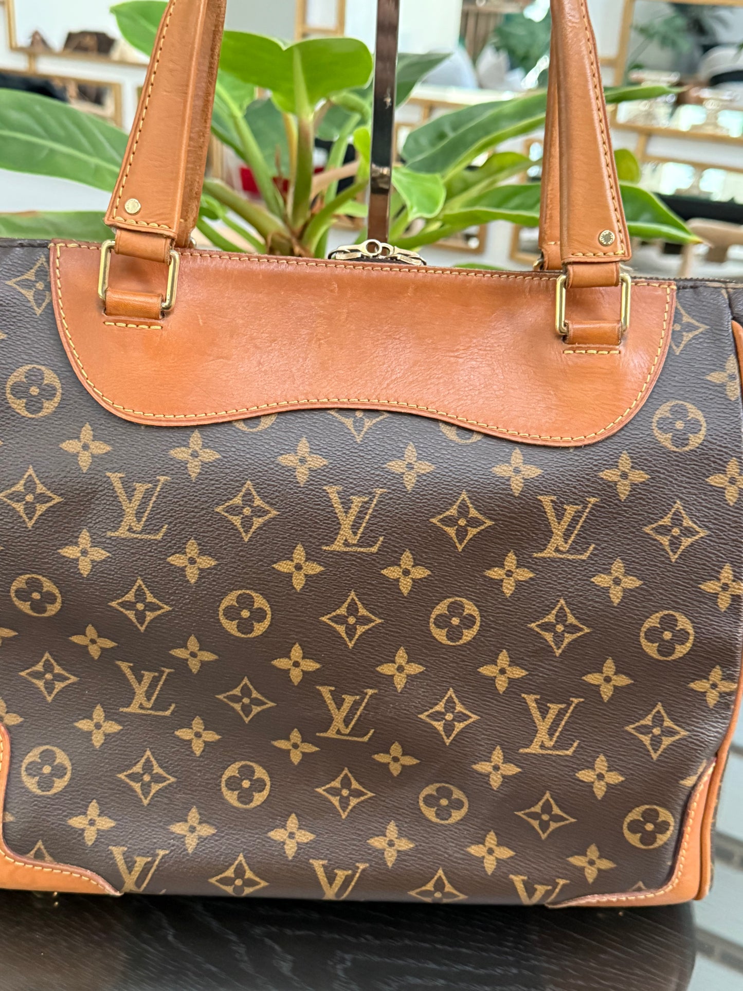 Estrela NM MM with Dustbag-๐๏ธ Year: 2014