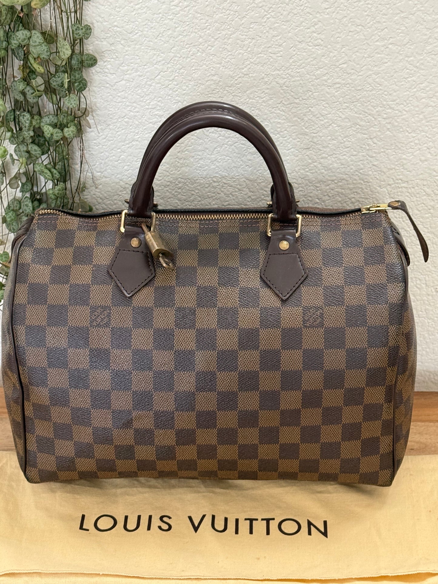 Speedy 30 in DE with π Lock & Key and Dustbag - π
Year: 2008