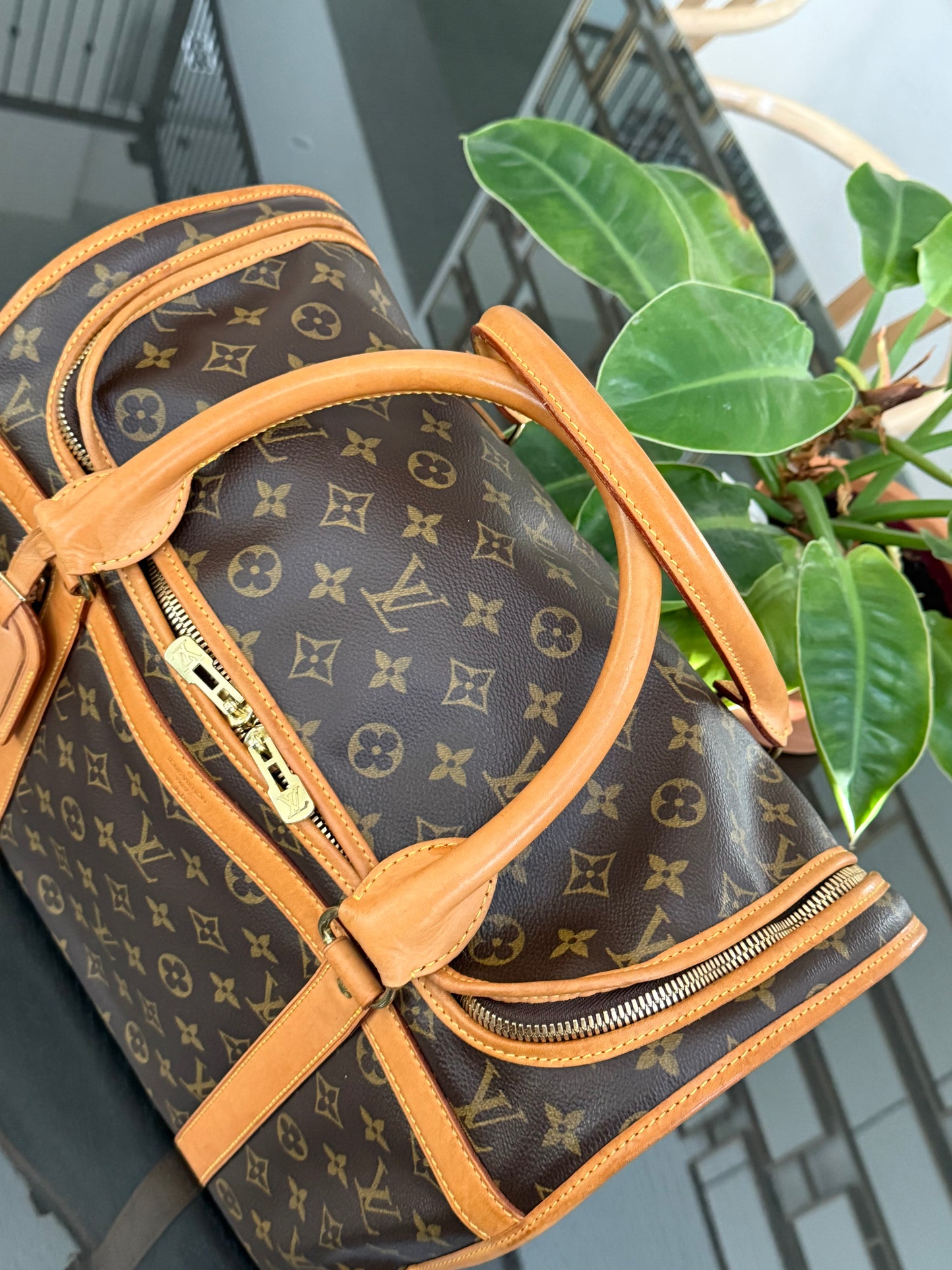 Sac Chien Monogram Pet Carrier 40 with Luggage Tag 🗓️ Year: 2004