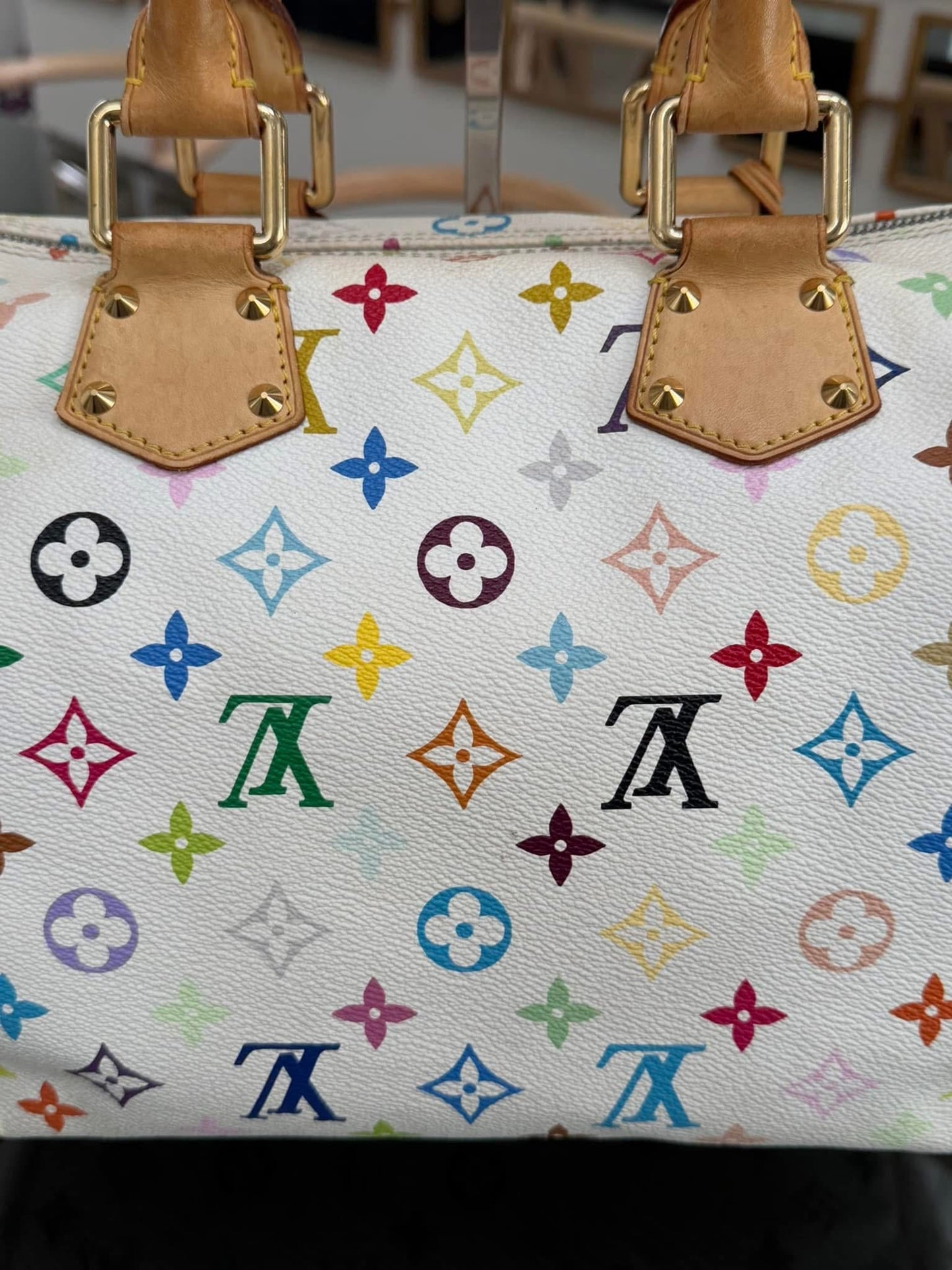 Multicolor Speedy 30 with Dustbag and Insert Organizer π
Year: 2006