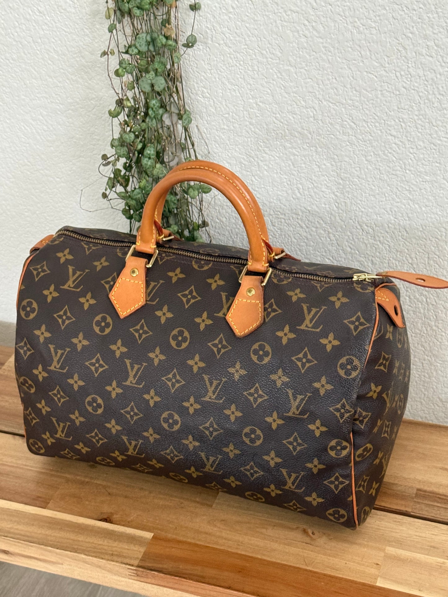 Speedy 35 with Dustbag - ๐
Year: 2000