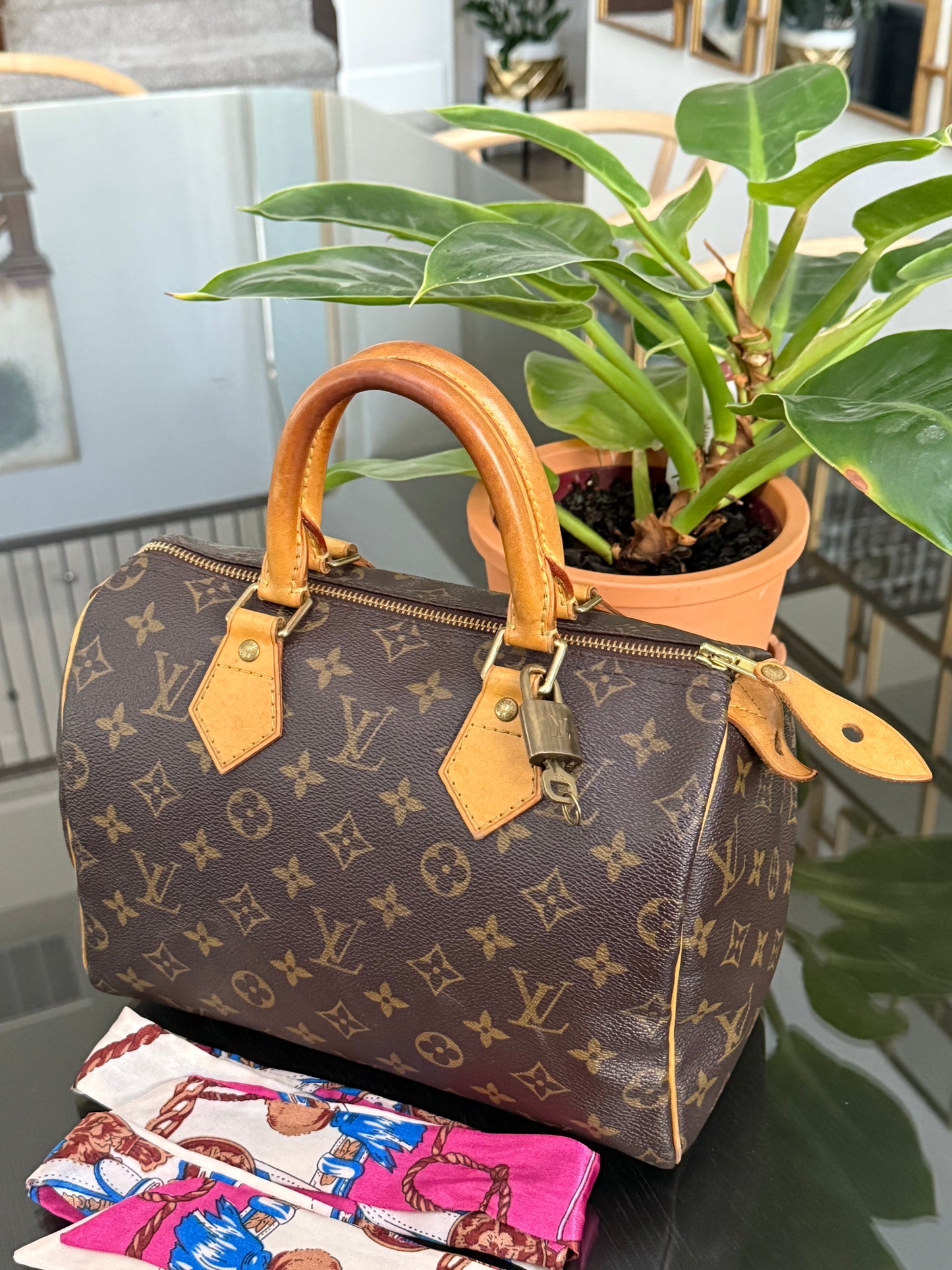 Speedy 25 with 🔐 Lock and Key 🌷Year: 2007
