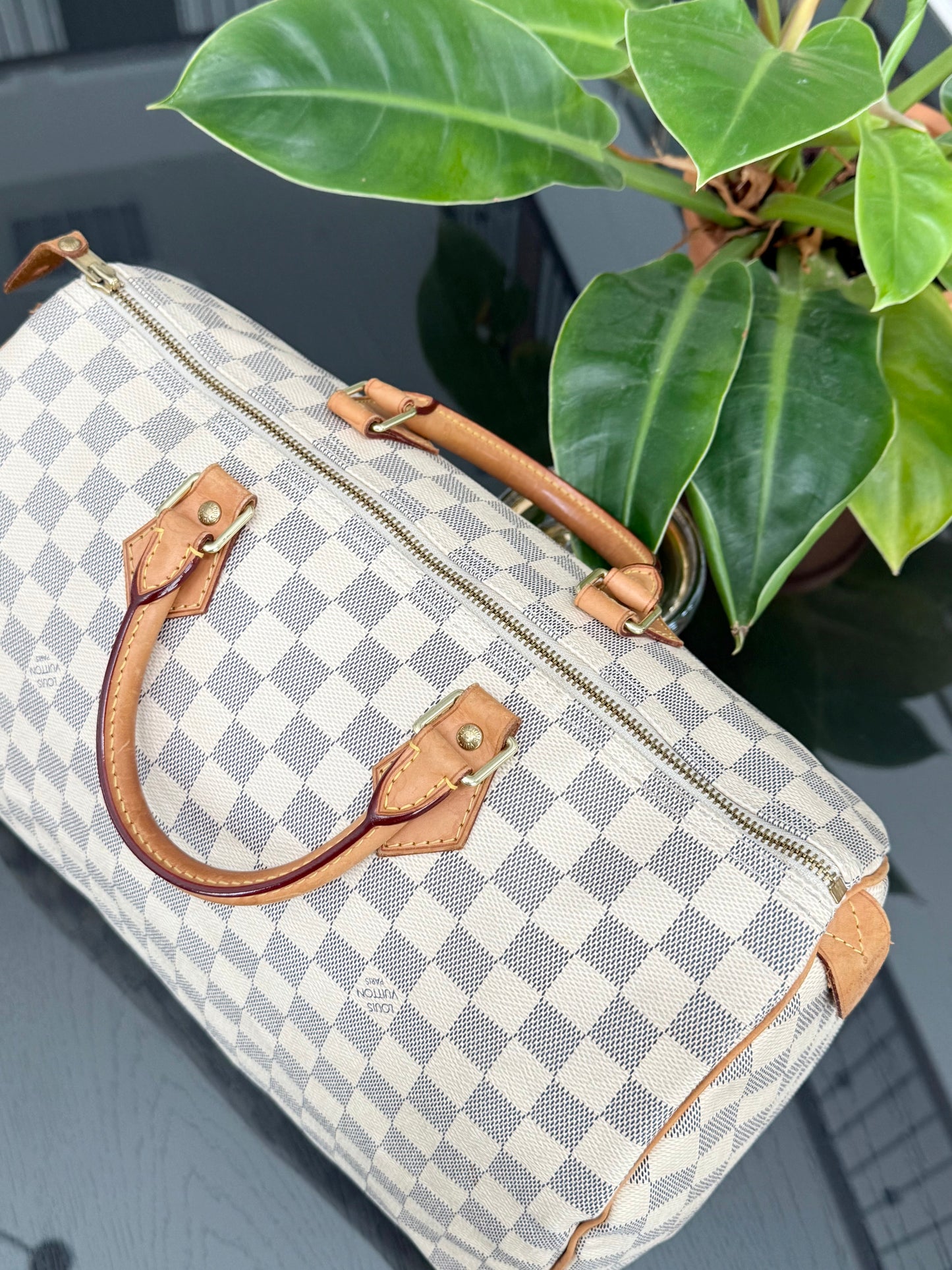 Speedy 35 Azur with π Lock & Key and Dustbag π·
ποΈ Year: 2013