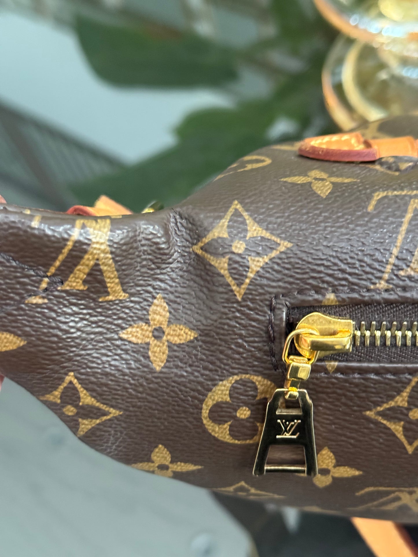 Bumbag Monogram - 🗓️ Microchip