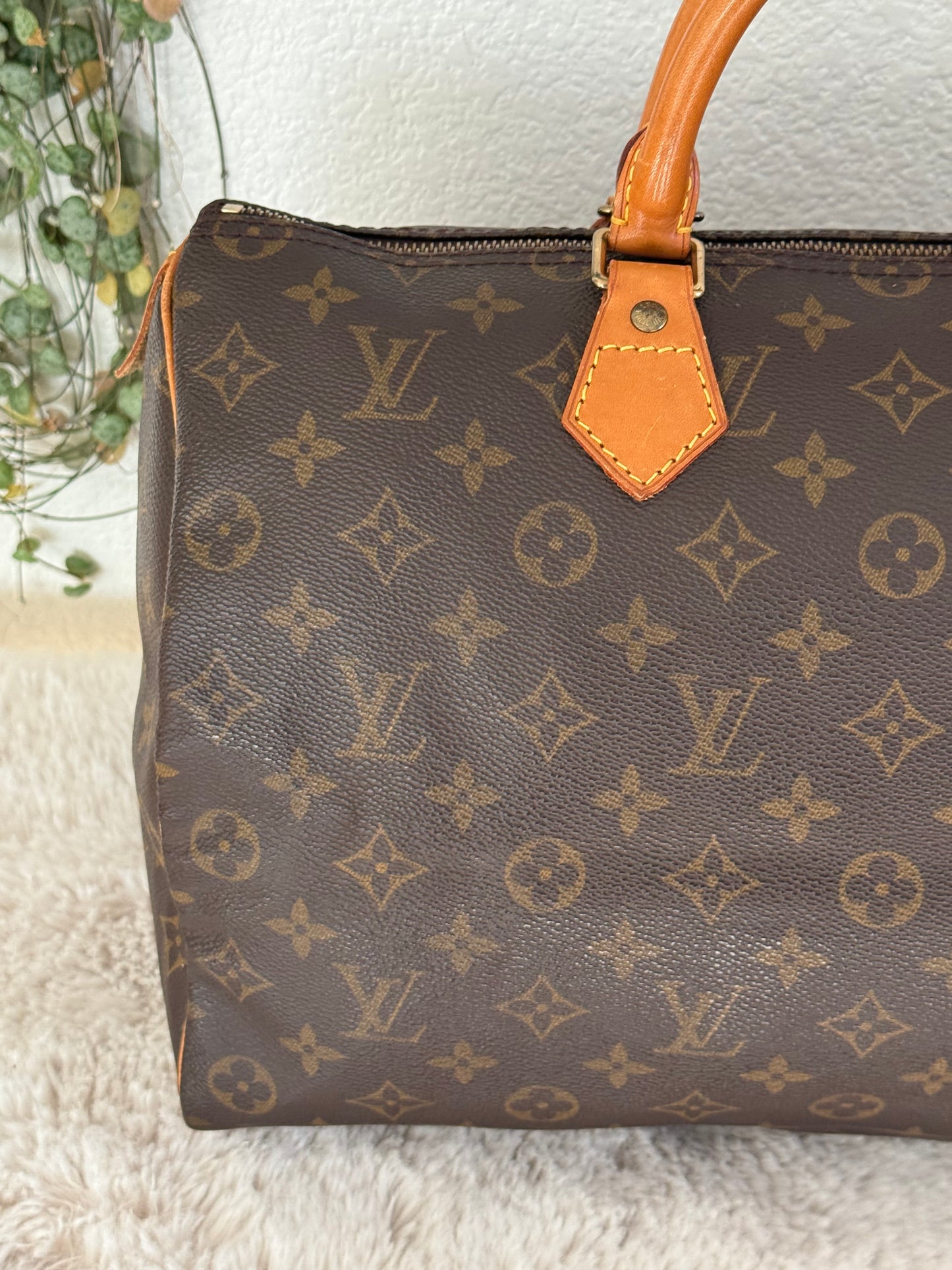 Speedy 35 with Dustbag- π
Year: 1994