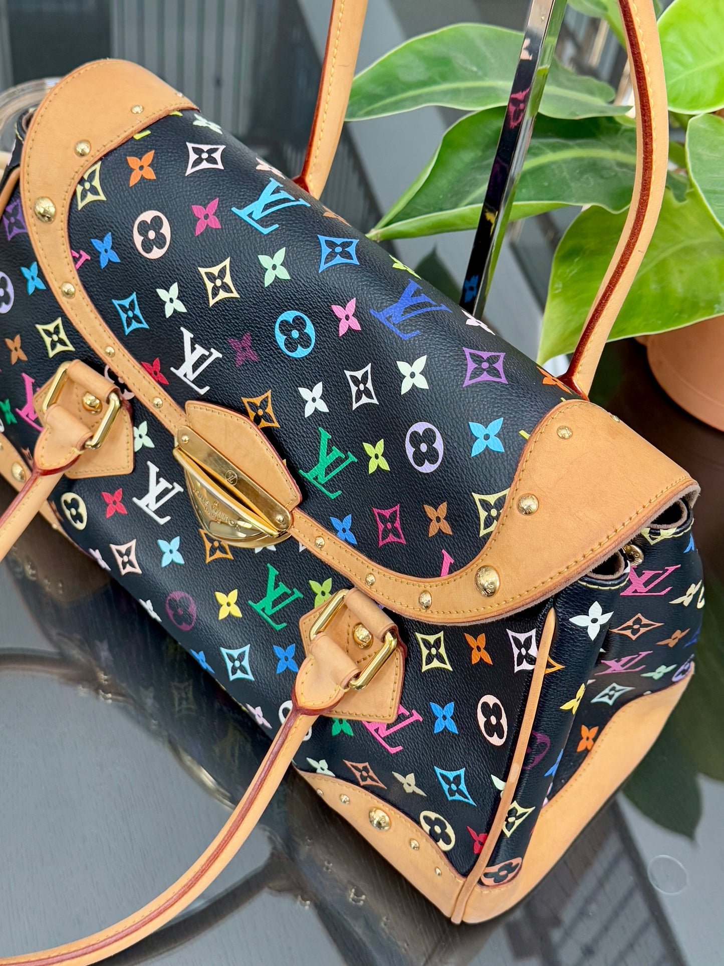 Multicolor Beverly GM with Dustbag ๐
Year: 2000