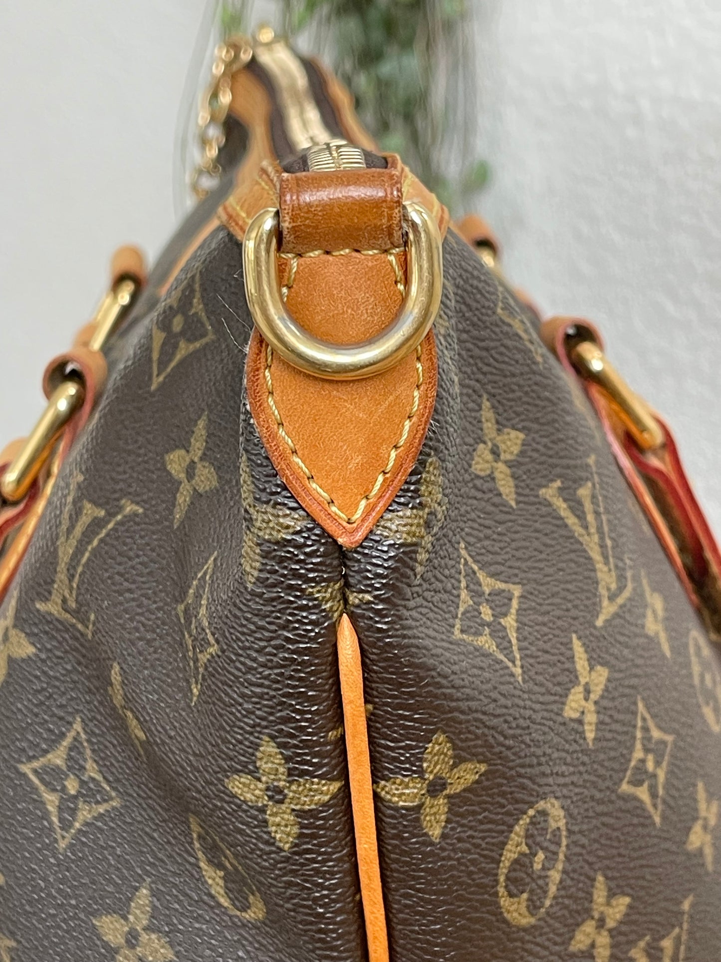 Palermo PM in Monogram -Year 2009