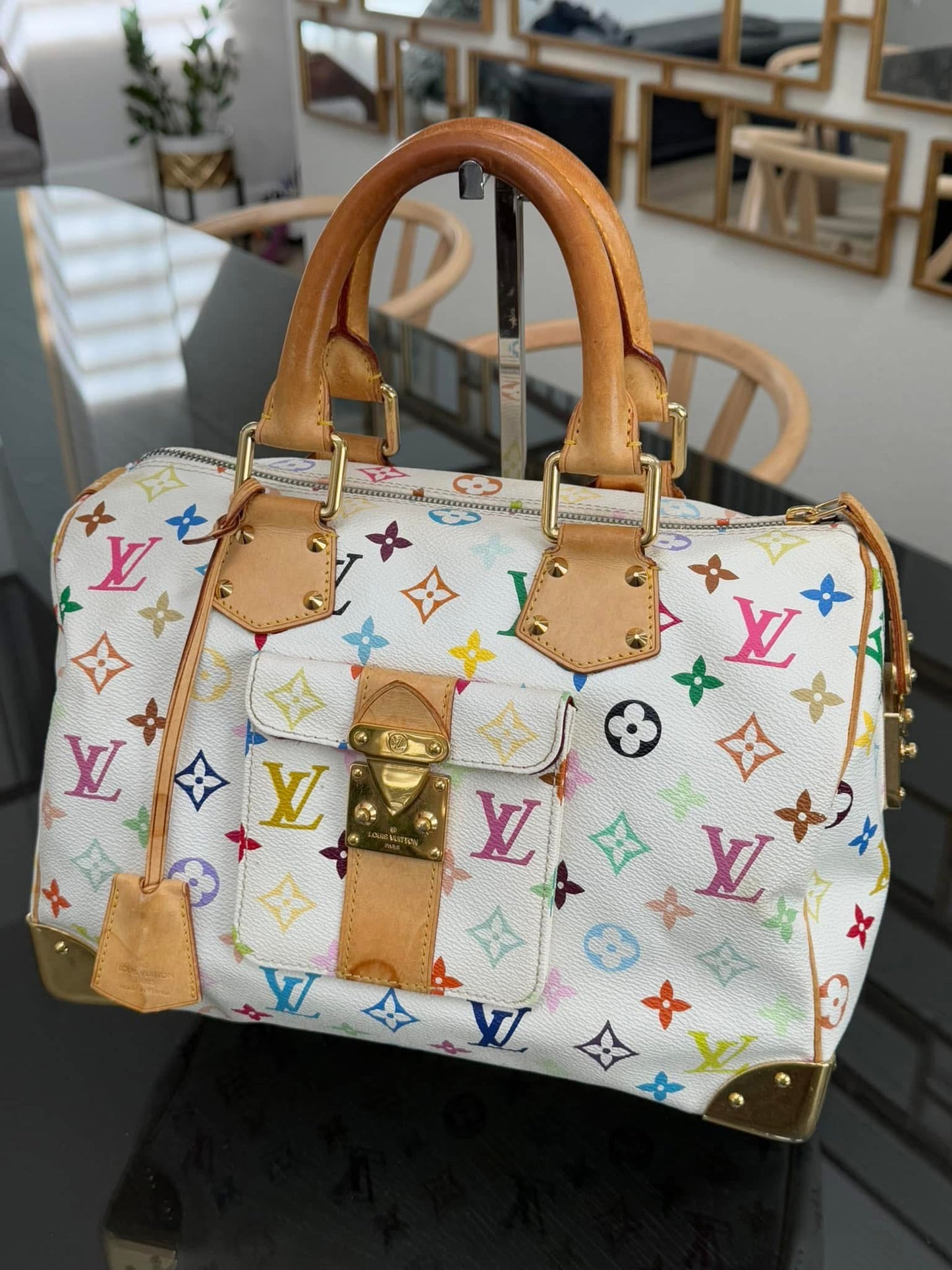 Multicolor Speedy 30 with Dustbag and Insert Organizer π
Year: 2006