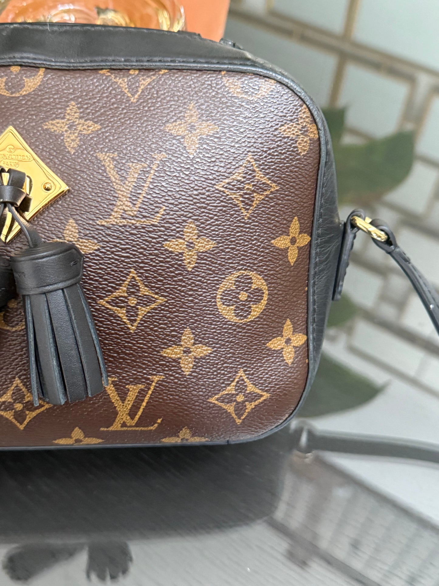Saintonge Monogram Noir Crossbody -🗓️ Year: 2018