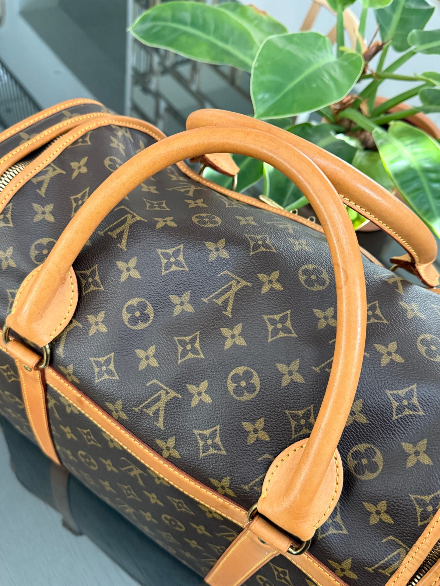 Sac Chien Monogram Pet Carrier 40 with Luggage Tag 🗓️ Year: 2004