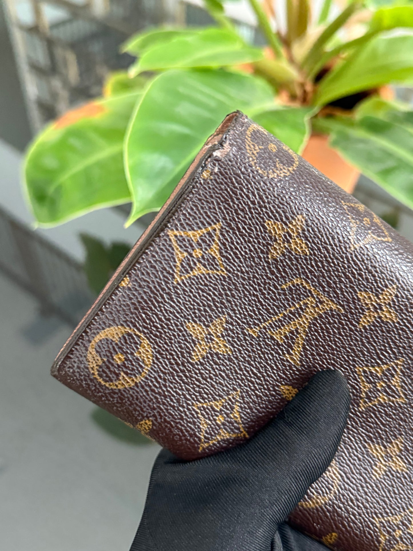 Sarah Wallet with 10 Cardholders 🗓️ Year: 2008