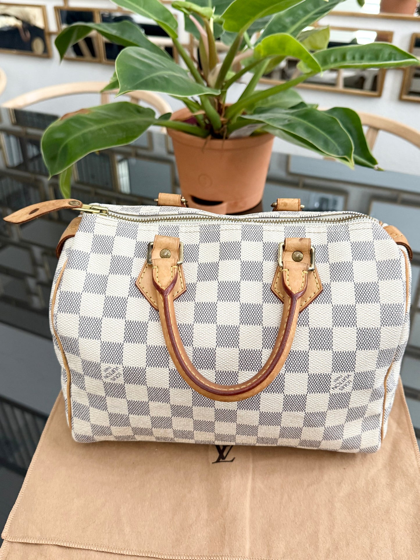 Speedy 25 Azur with Dustbag, insert organizer and twilly
๐๏ธ Year: 2007