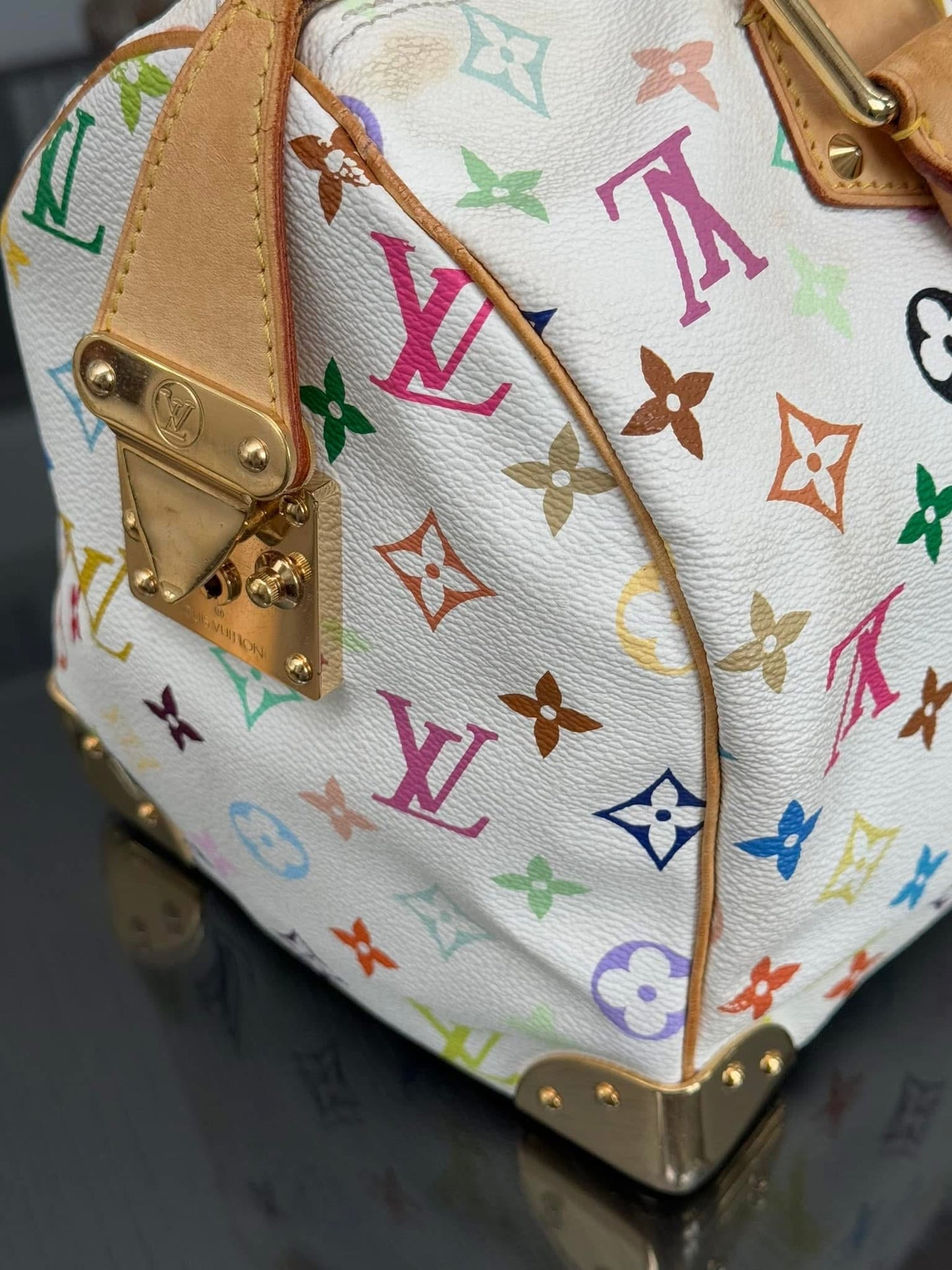 Multicolor Speedy 30 with Dustbag and Insert Organizer π
Year: 2006