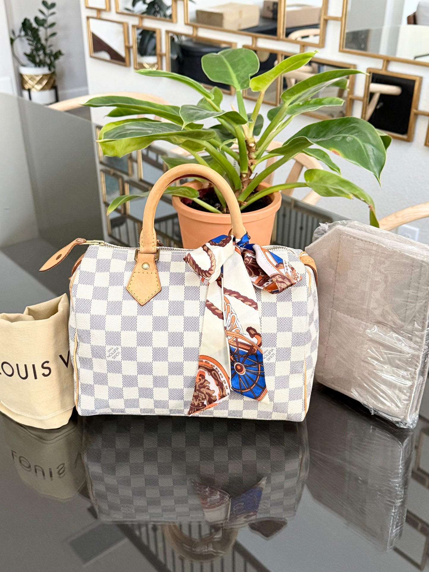 Speedy 25 Azur with, Dustbag, Insert organizer and twilly
๐๏ธ Year: 2008