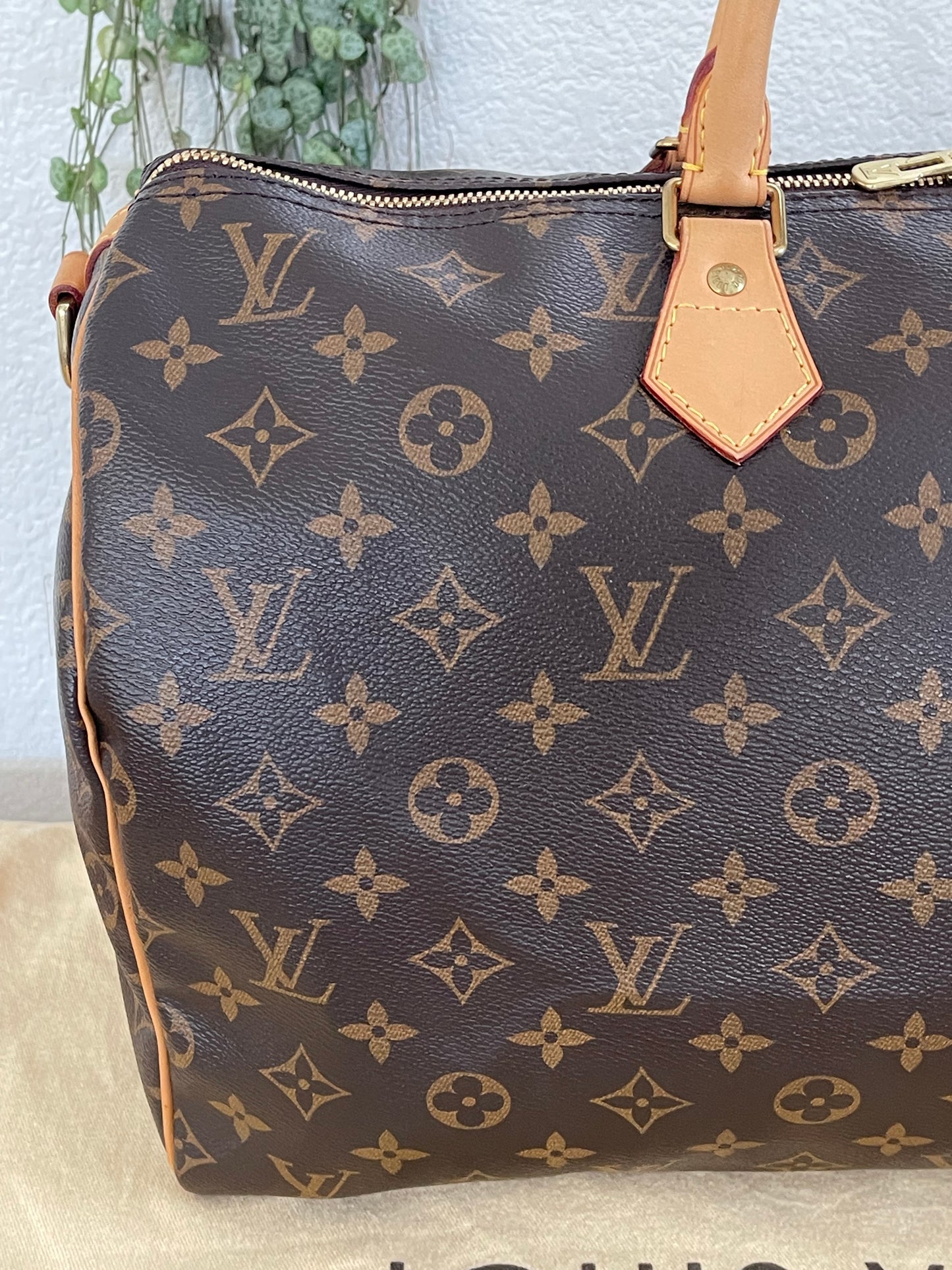 Speedy 40 Bandoulier with ๐ Lock & Keys and Dustbag -Year: 2012