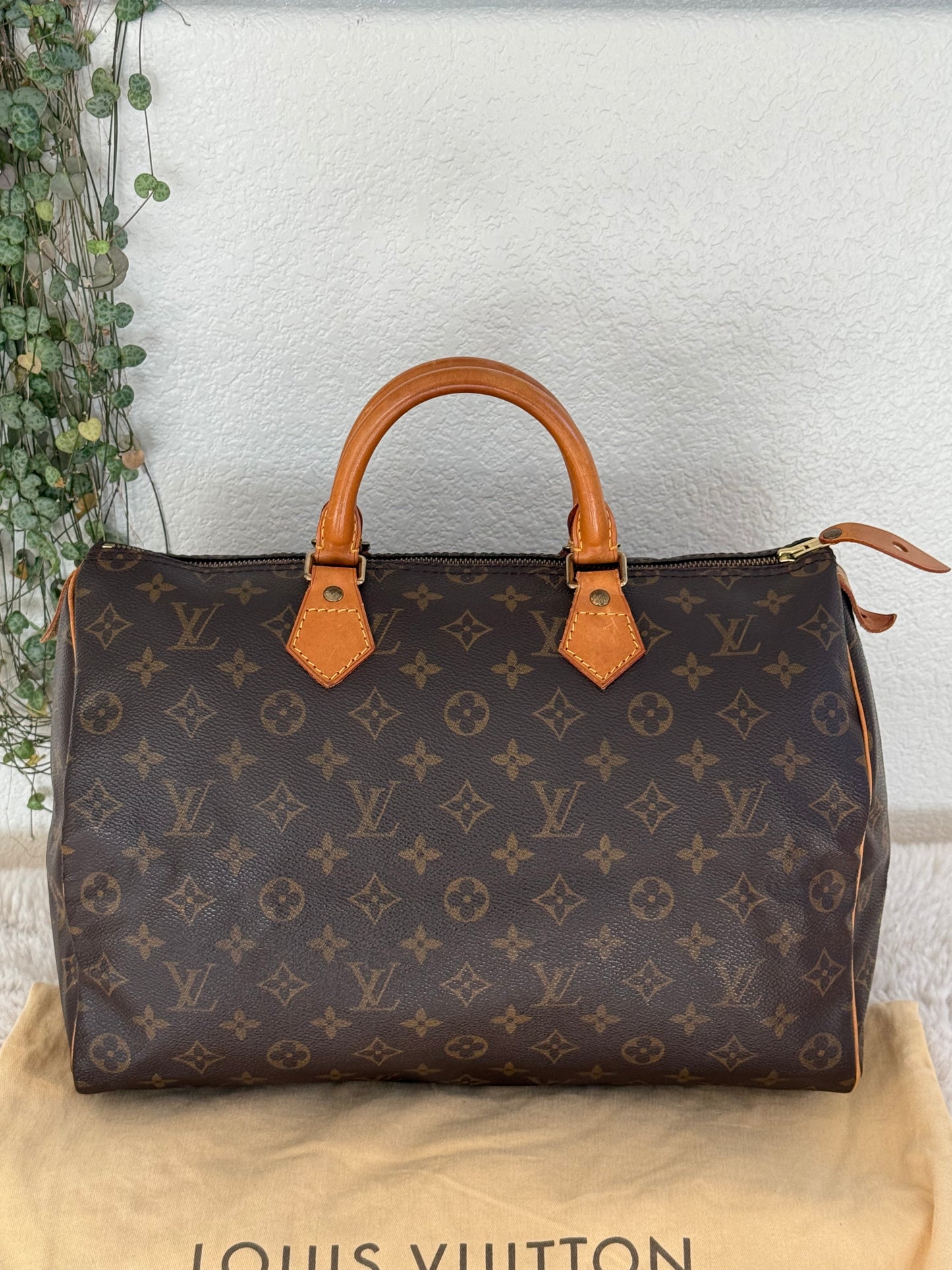Speedy 35 with Dustbag- π
Year: 1994