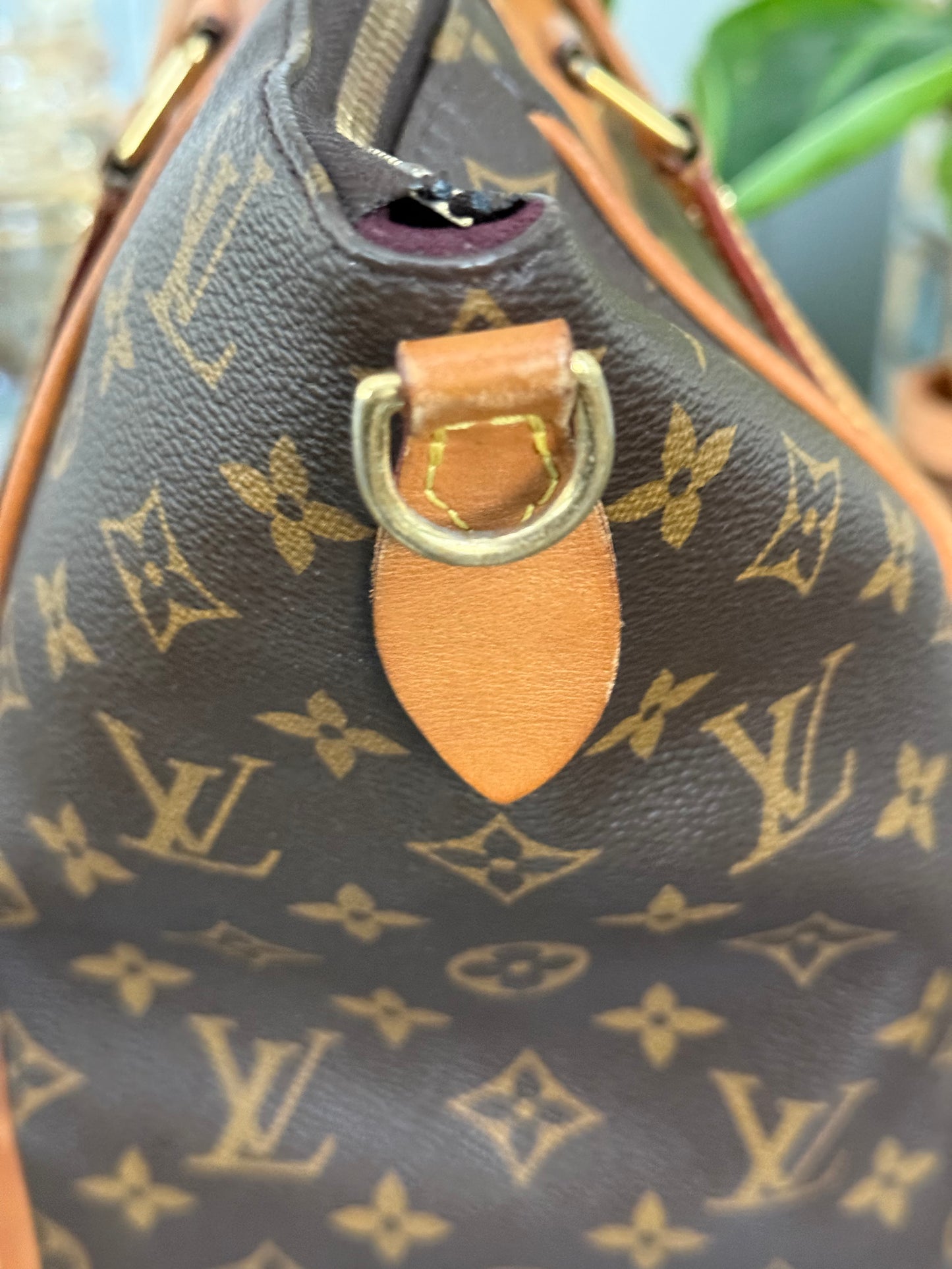 Estrela NM MM with Dustbag-๐๏ธ Year: 2014