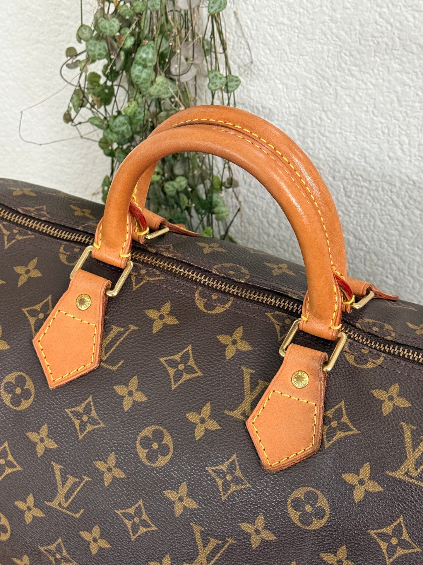 Speedy 35 with Dustbag - ๐
Year: 2000
