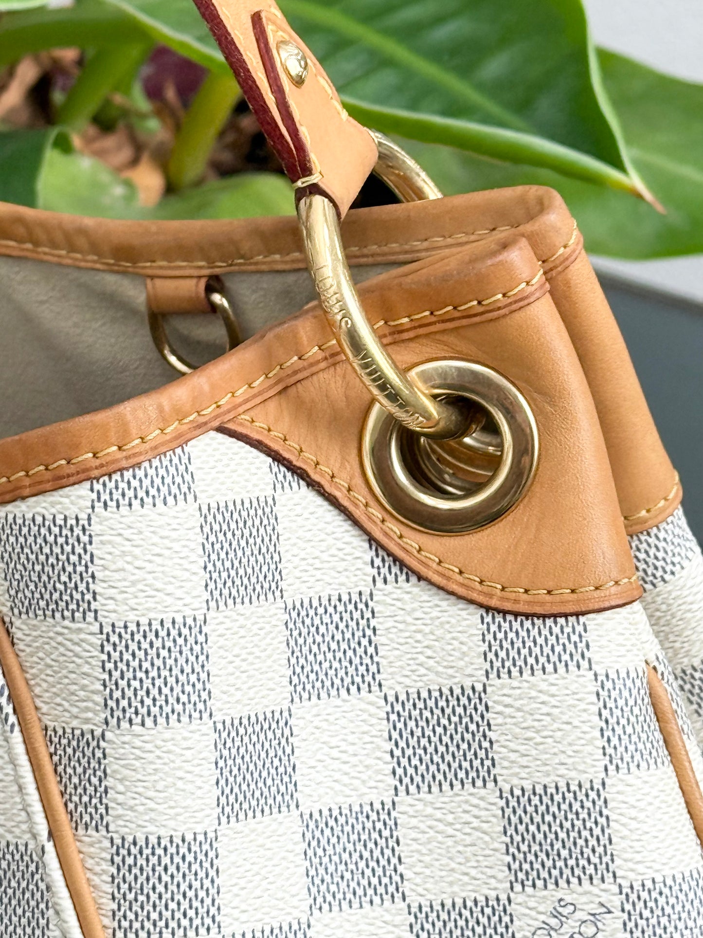 Galleria PM Azur with Dustbag and Insert Organizer -
🗓️ Year: 2010