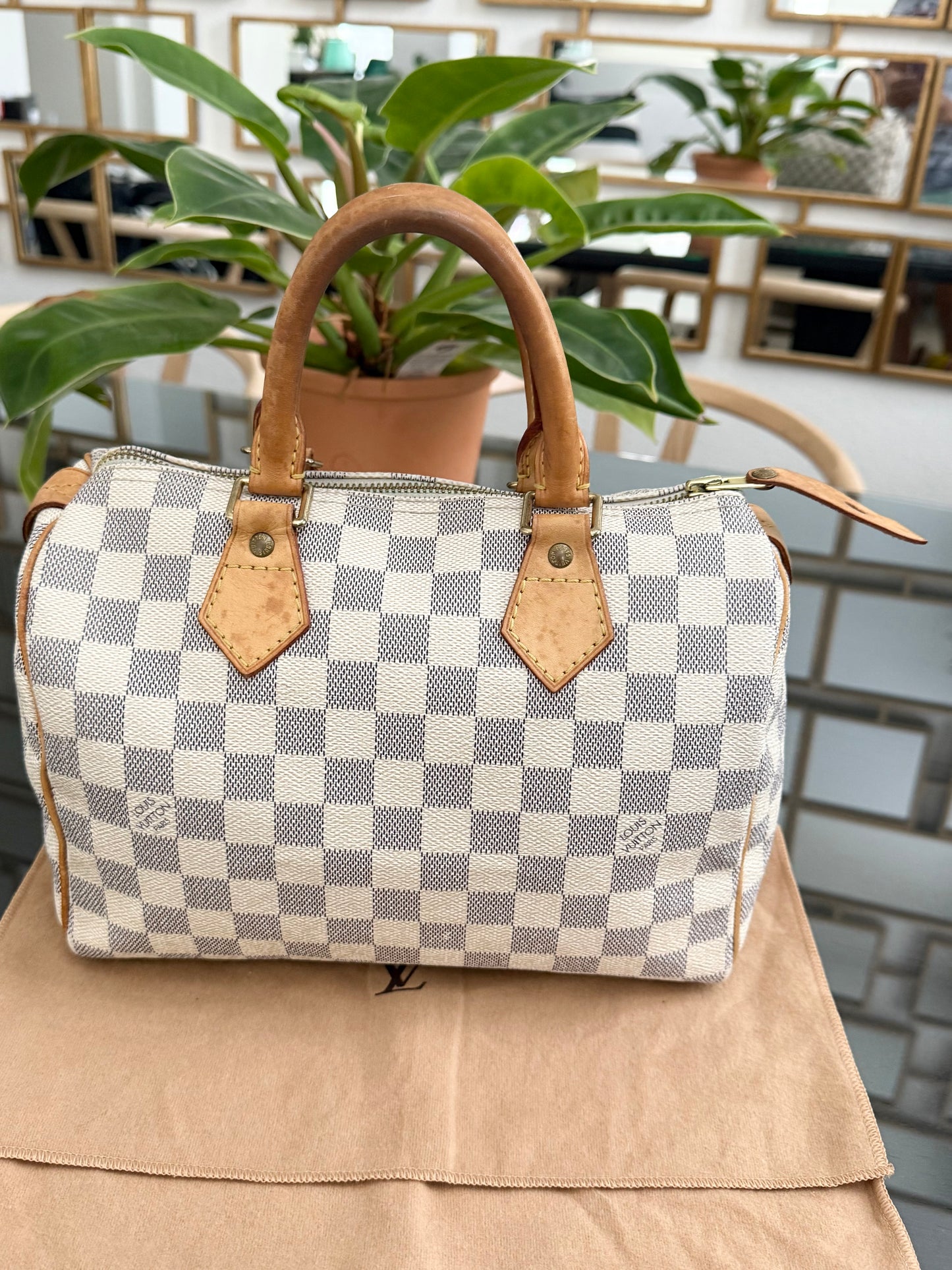 Speedy 25 Azur with Dustbag, insert organizer and twilly
๐๏ธ Year: 2007