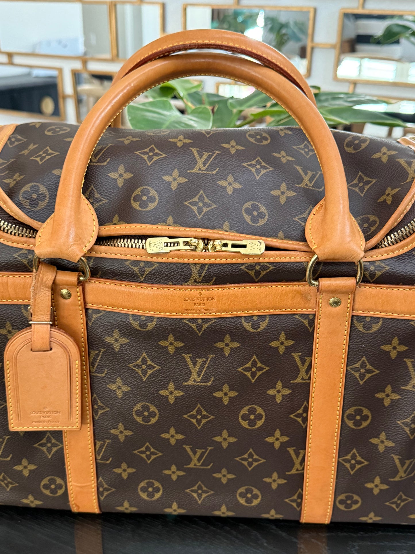 Sac Chien Monogram Pet Carrier 40 with Luggage Tag 🗓️ Year: 2004