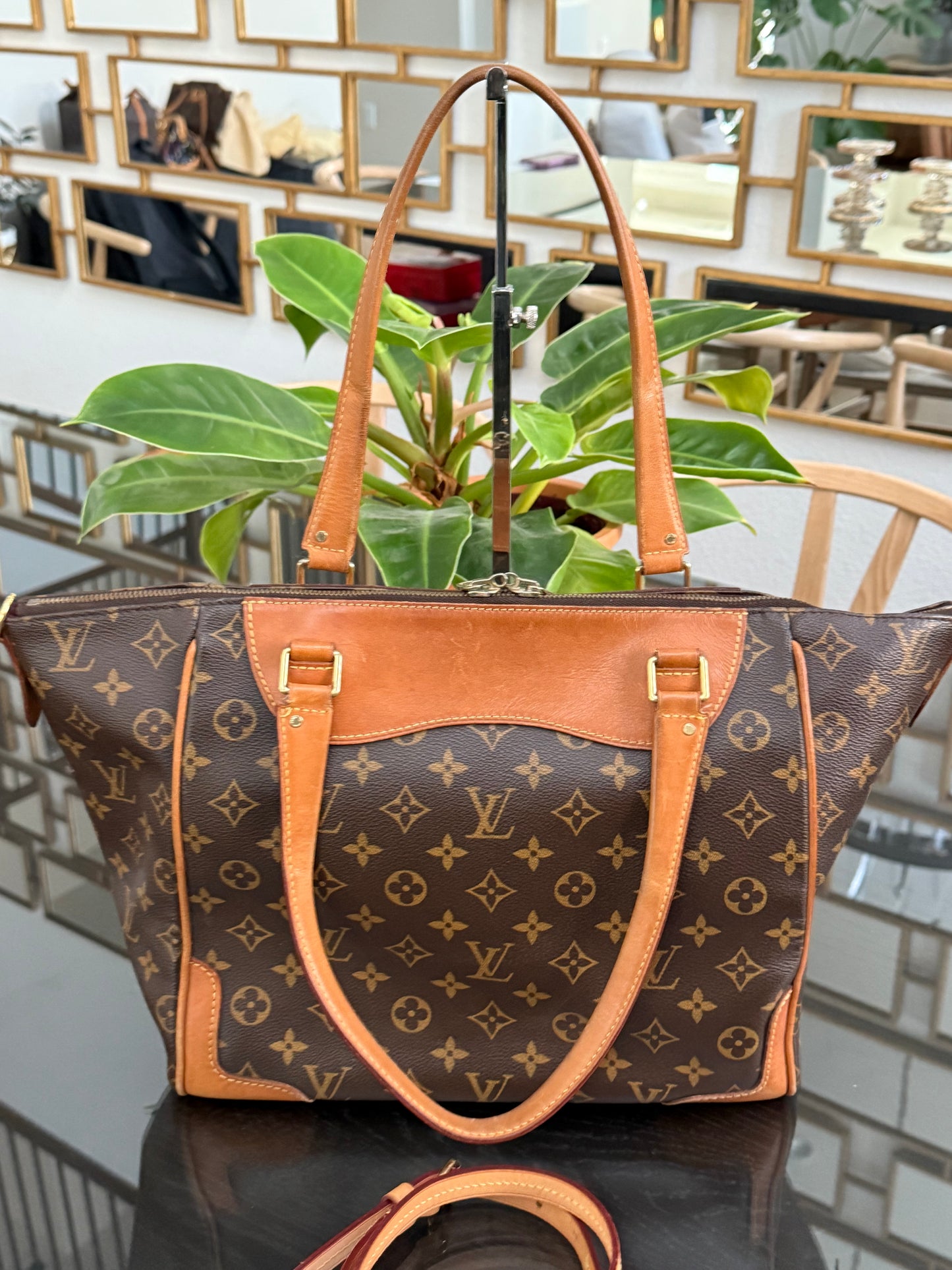 Estrela NM MM with Dustbag-๐๏ธ Year: 2014