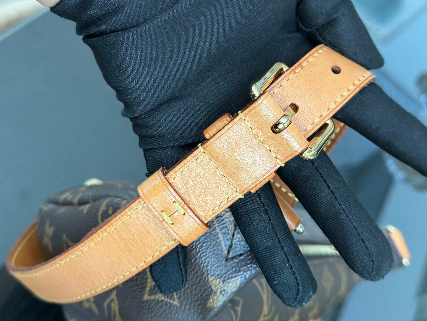 Bumbag Monogram - 🗓️ Microchip