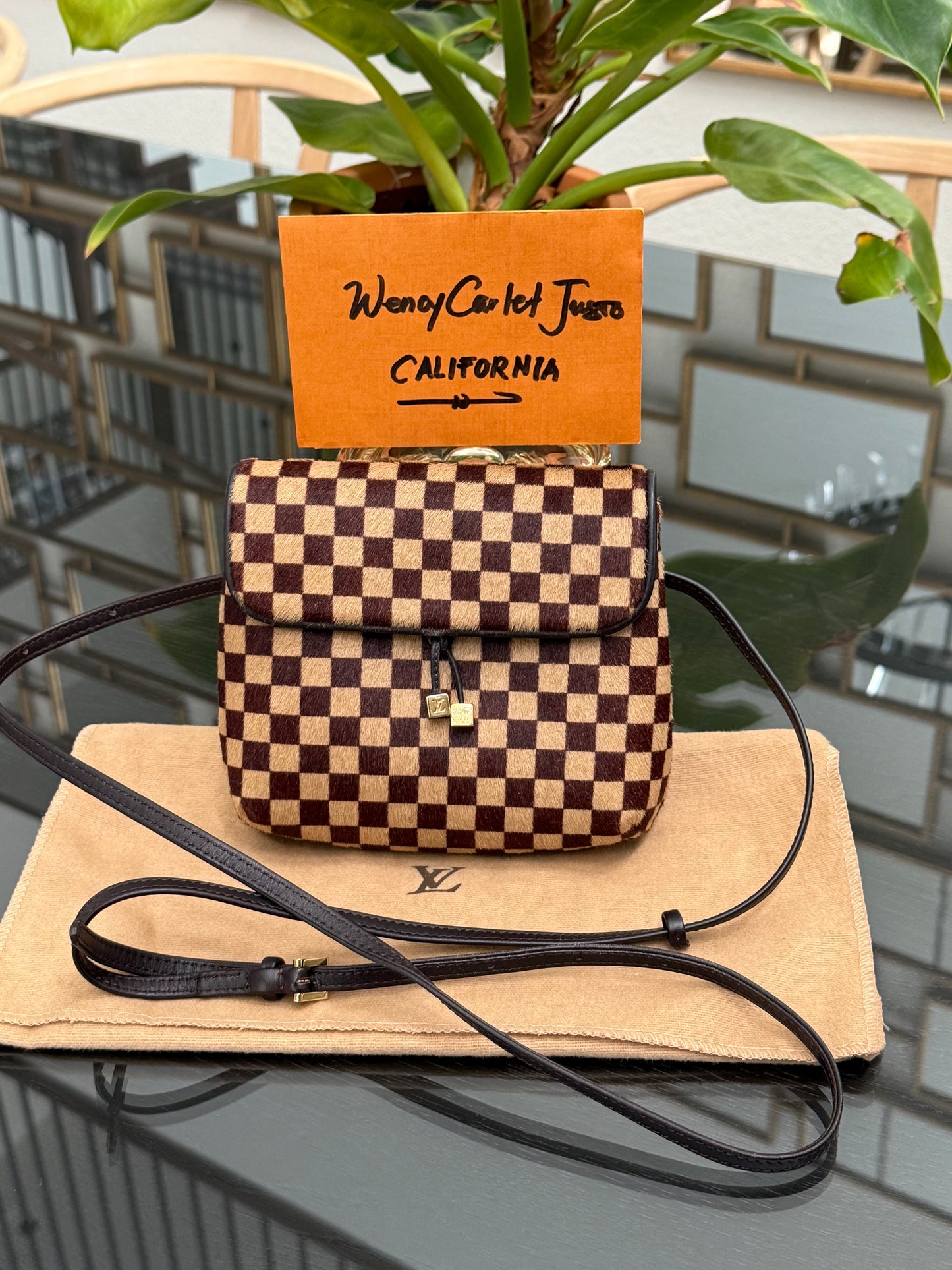 Damier Sauvage Gazelle Crossbody Pouch with Dustbag -🗓️ Year: 2001
