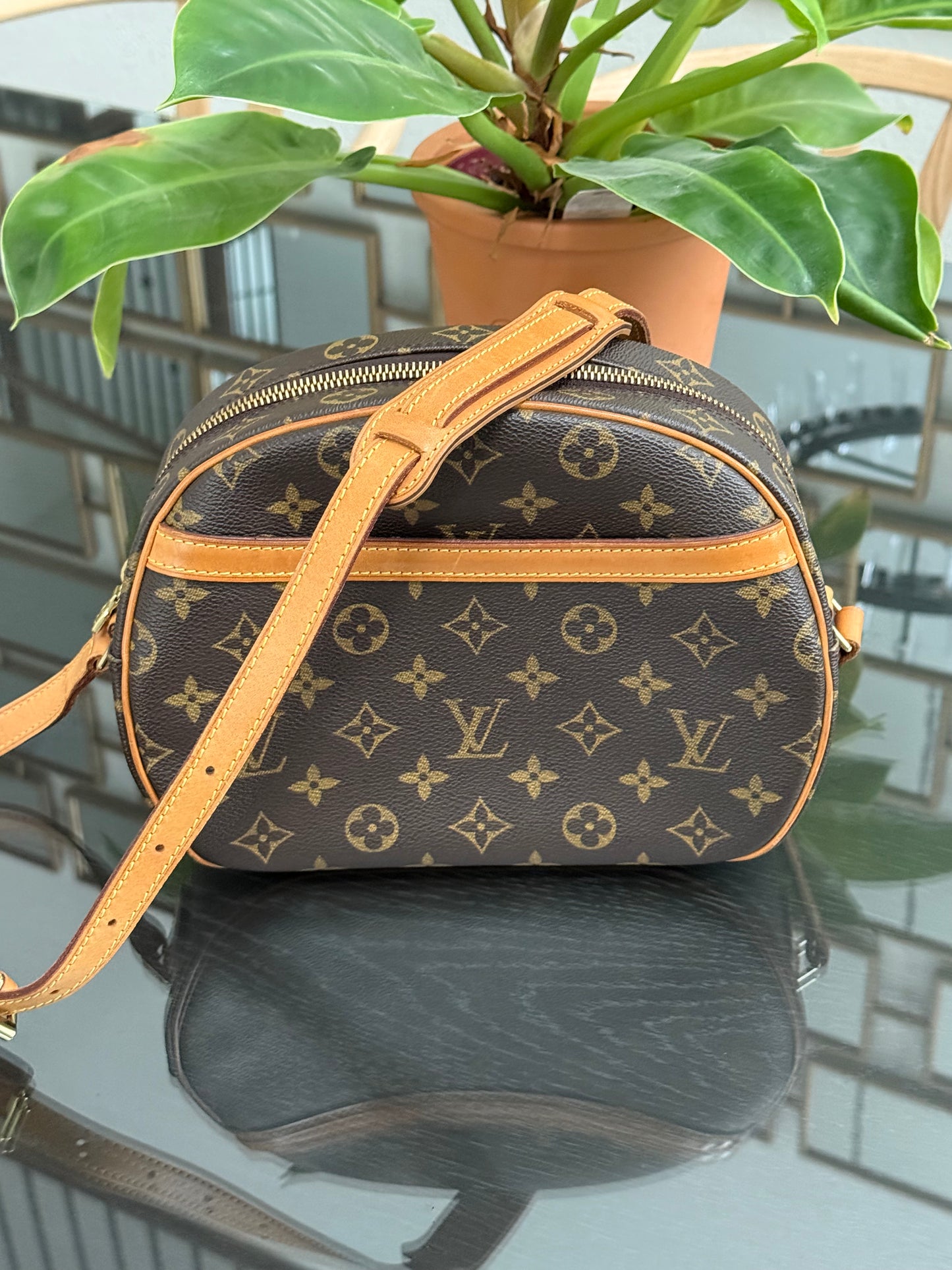 Blois Crossbody -🗓️ Year: 1999