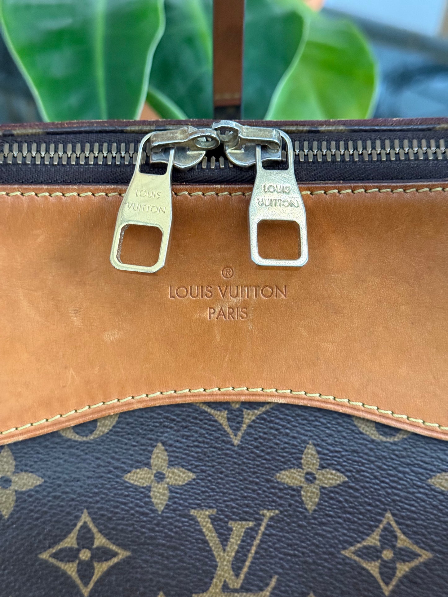 Estrela NM MM with Dustbag-๐๏ธ Year: 2014