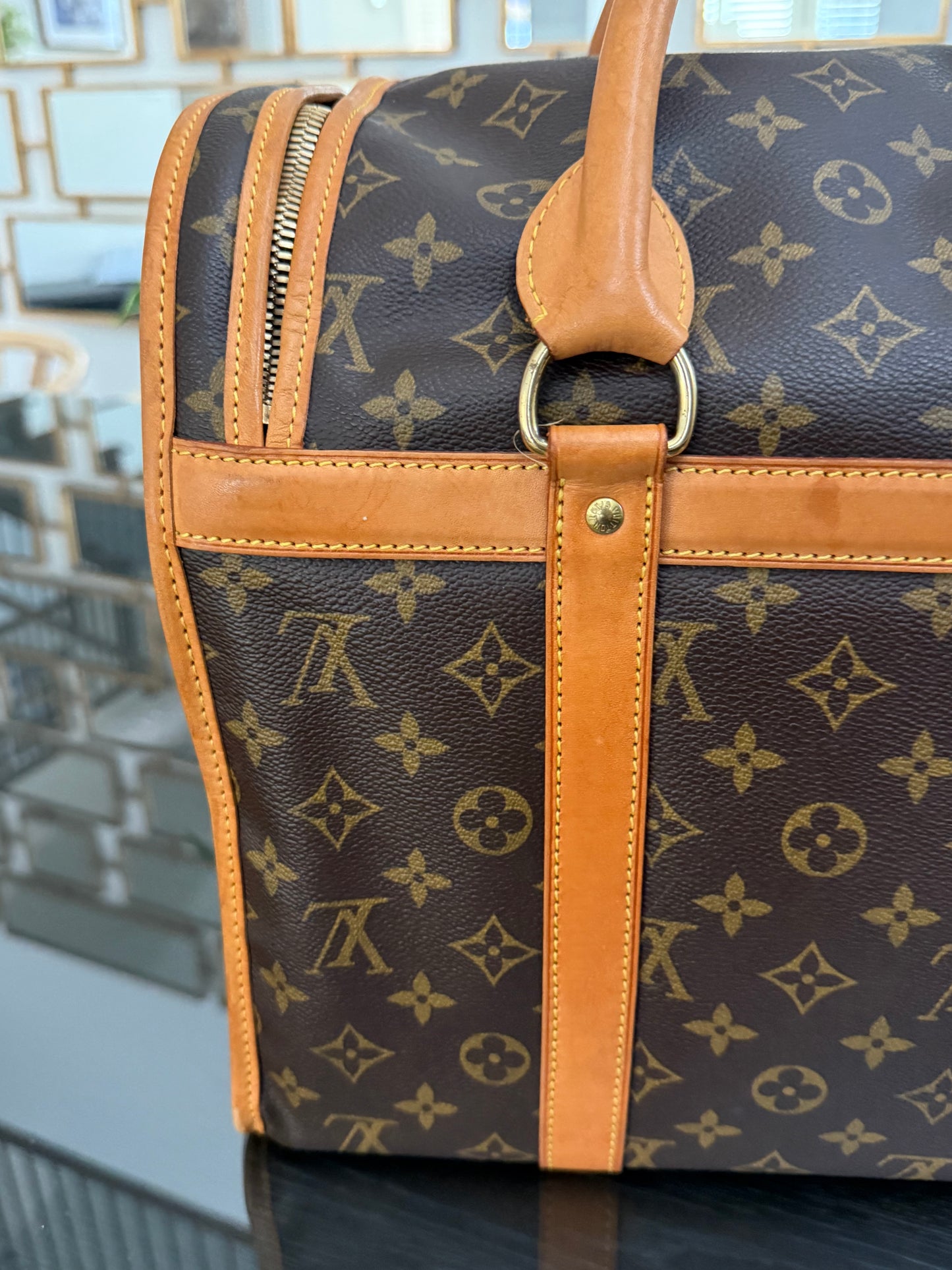 Sac Chien Monogram Pet Carrier 40 with Luggage Tag 🗓️ Year: 2004