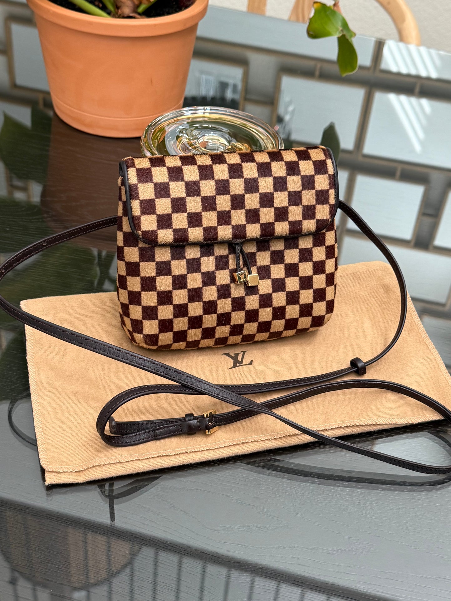Damier Sauvage Gazelle Crossbody Pouch with Dustbag -🗓️ Year: 2001