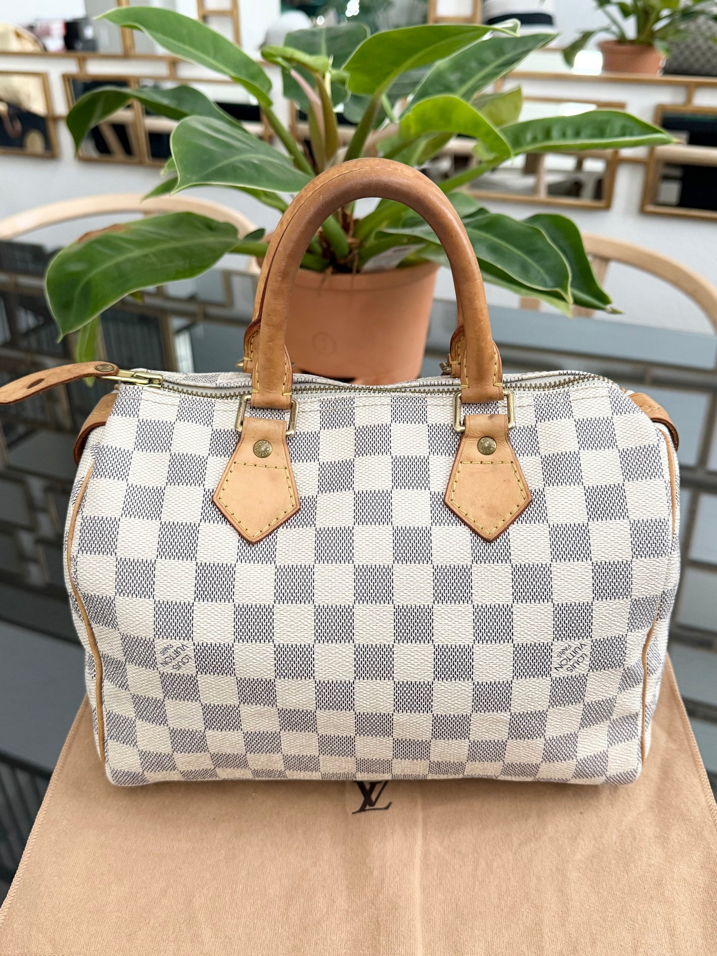 Speedy 25 Azur with Dustbag, insert organizer and twilly
๐๏ธ Year: 2007