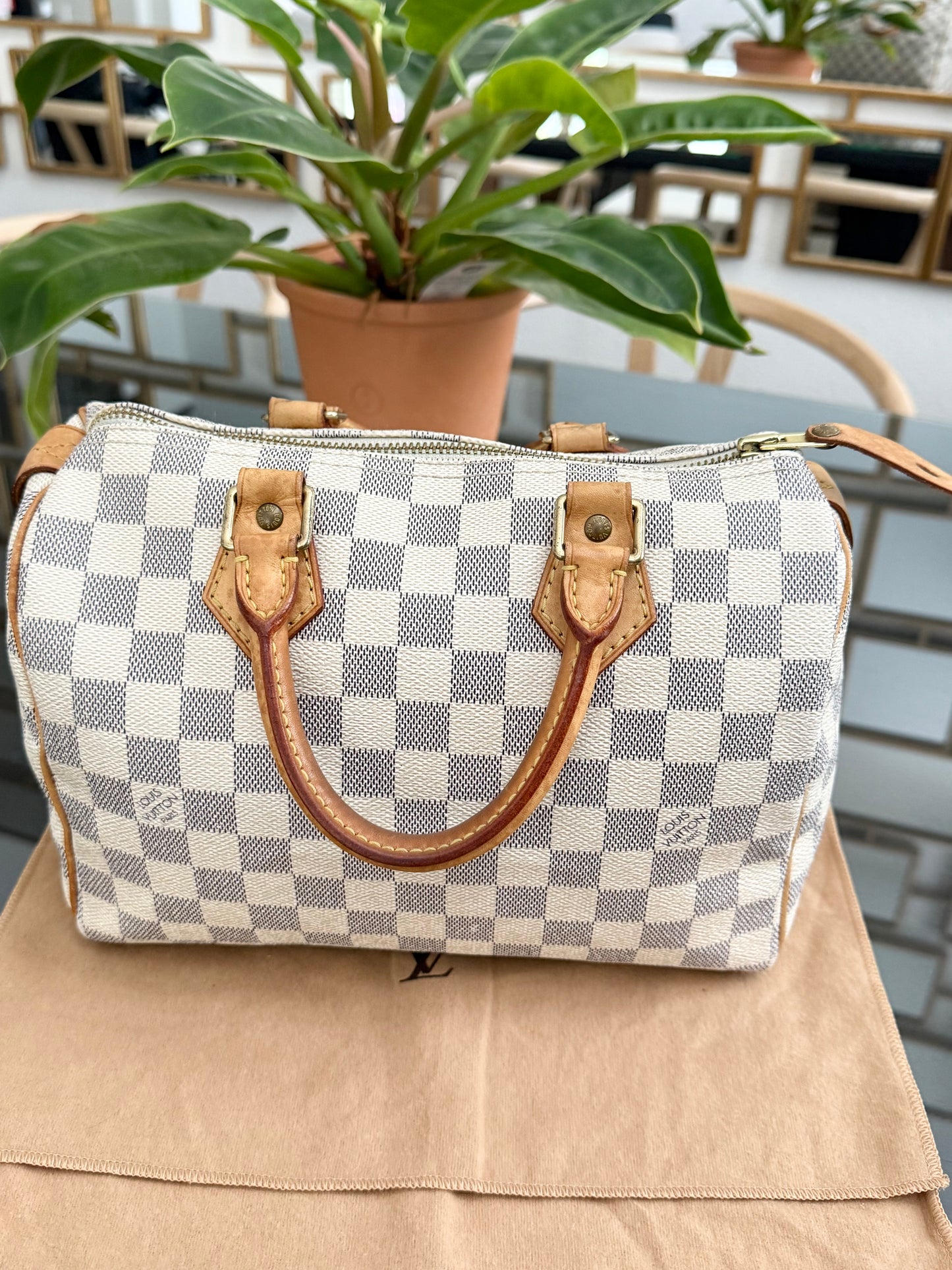 Speedy 25 Azur with Dustbag, insert organizer and twilly
๐๏ธ Year: 2007