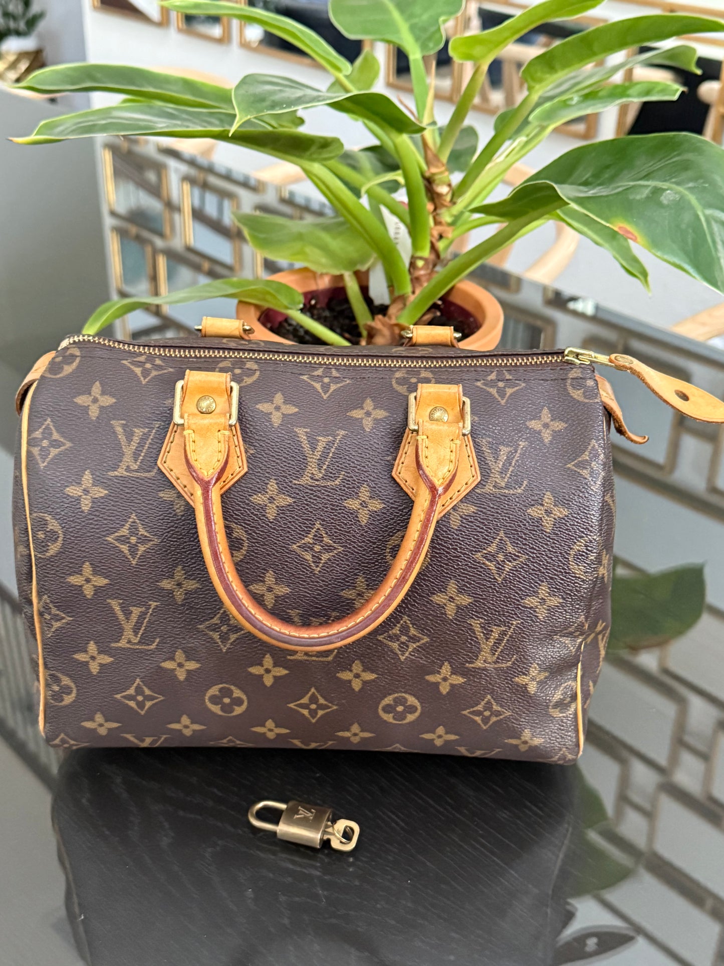 Speedy 25 with 🔐 Lock and Key 🌷Year: 2007