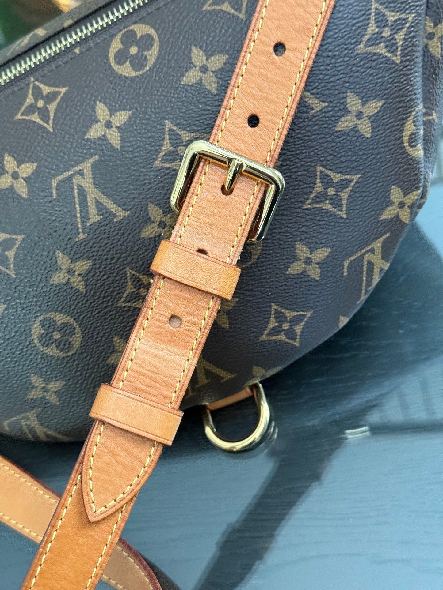 Bumbag Monogram - 🗓️ Microchip