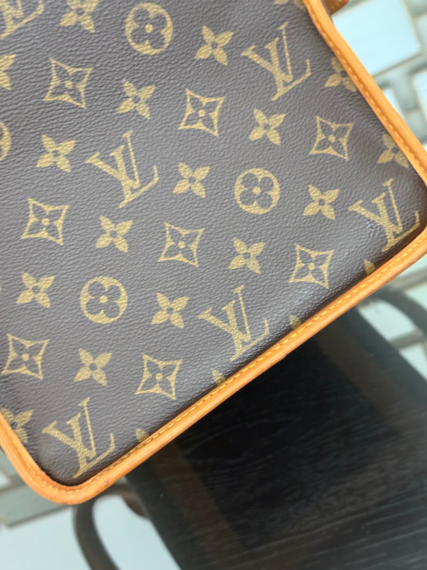 Sac Chien Monogram Pet Carrier 40 with Luggage Tag 🗓️ Year: 2004