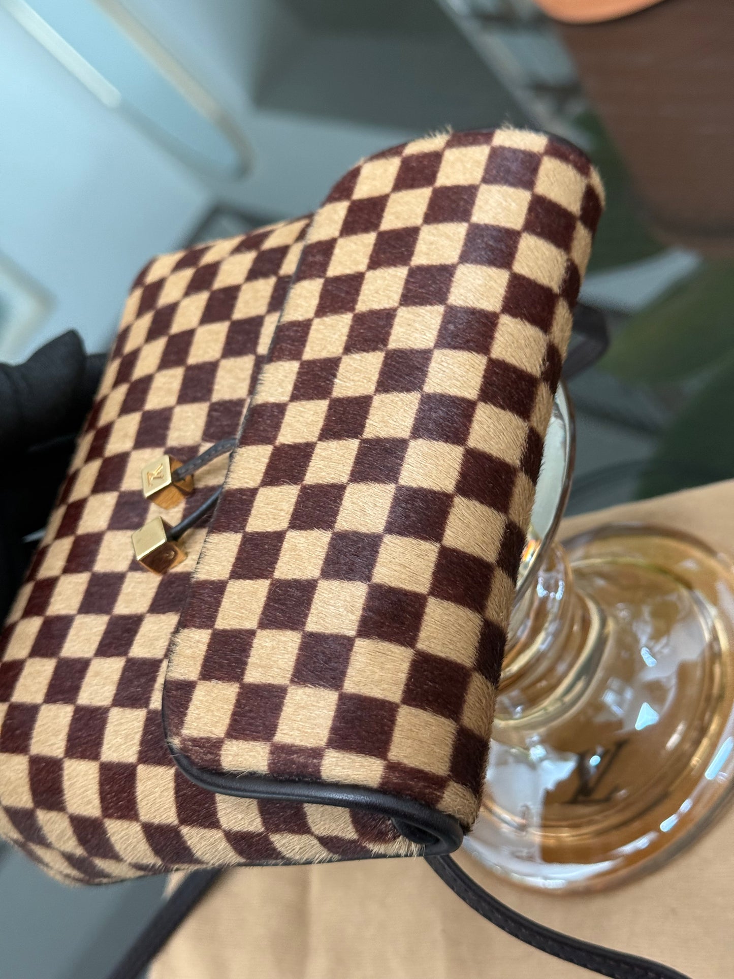 Damier Sauvage Gazelle Crossbody Pouch with Dustbag -🗓️ Year: 2001