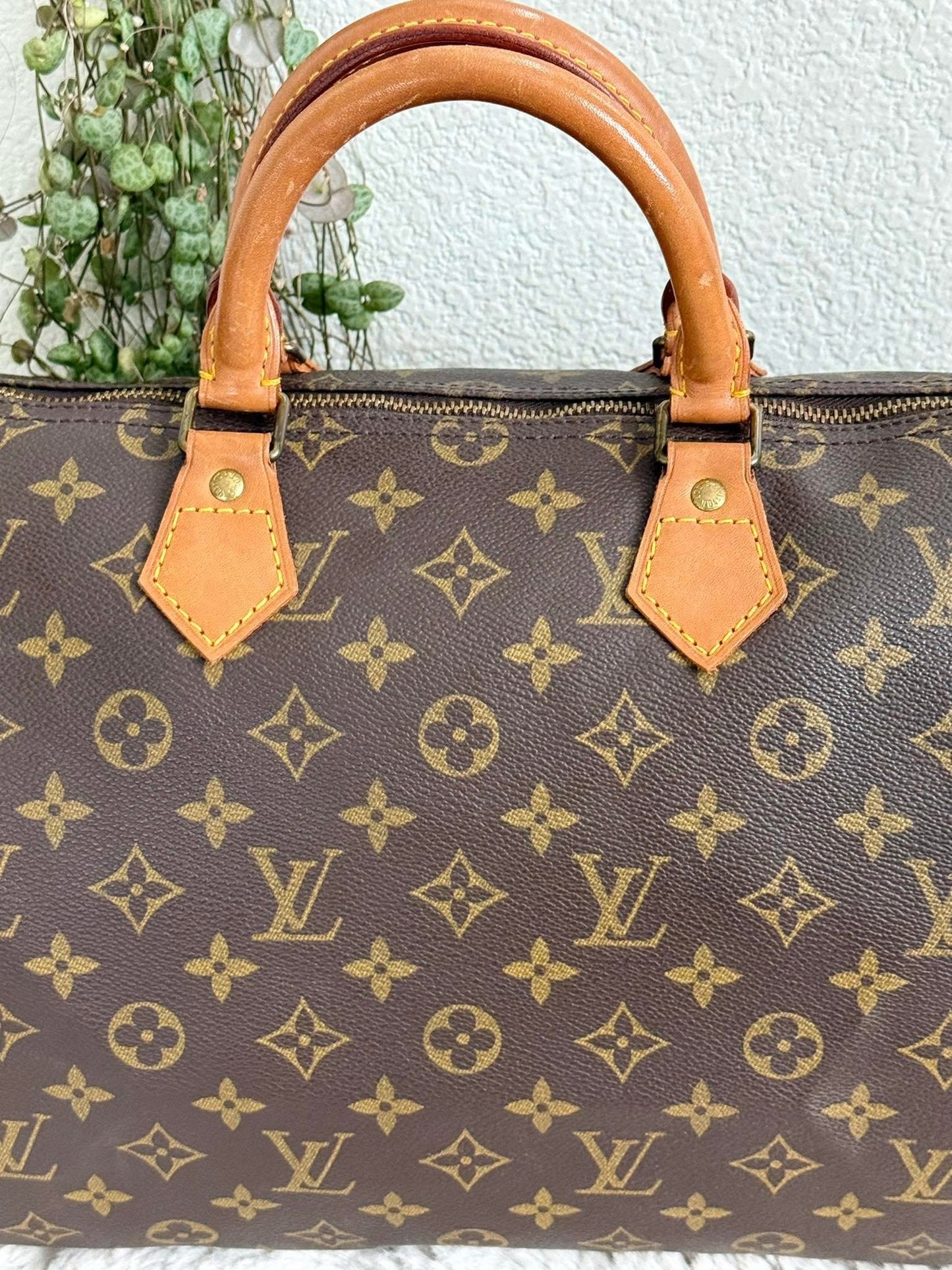 Speedy 35 with Insert Organizer - π
Year: 1989