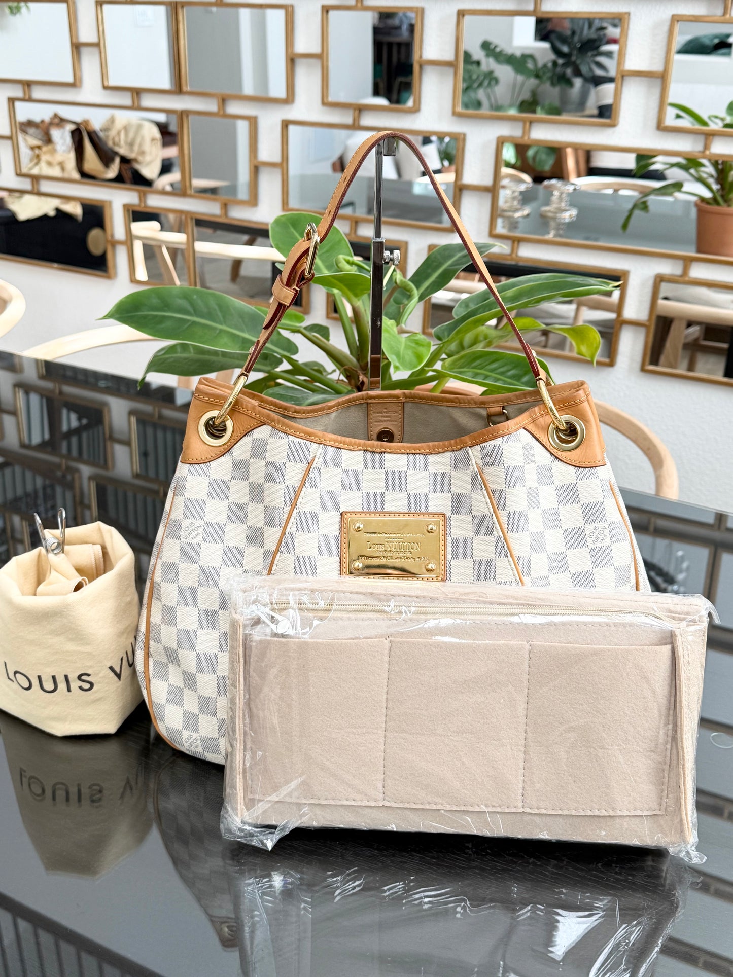Galleria PM Azur with Dustbag and Insert Organizer -
🗓️ Year: 2010