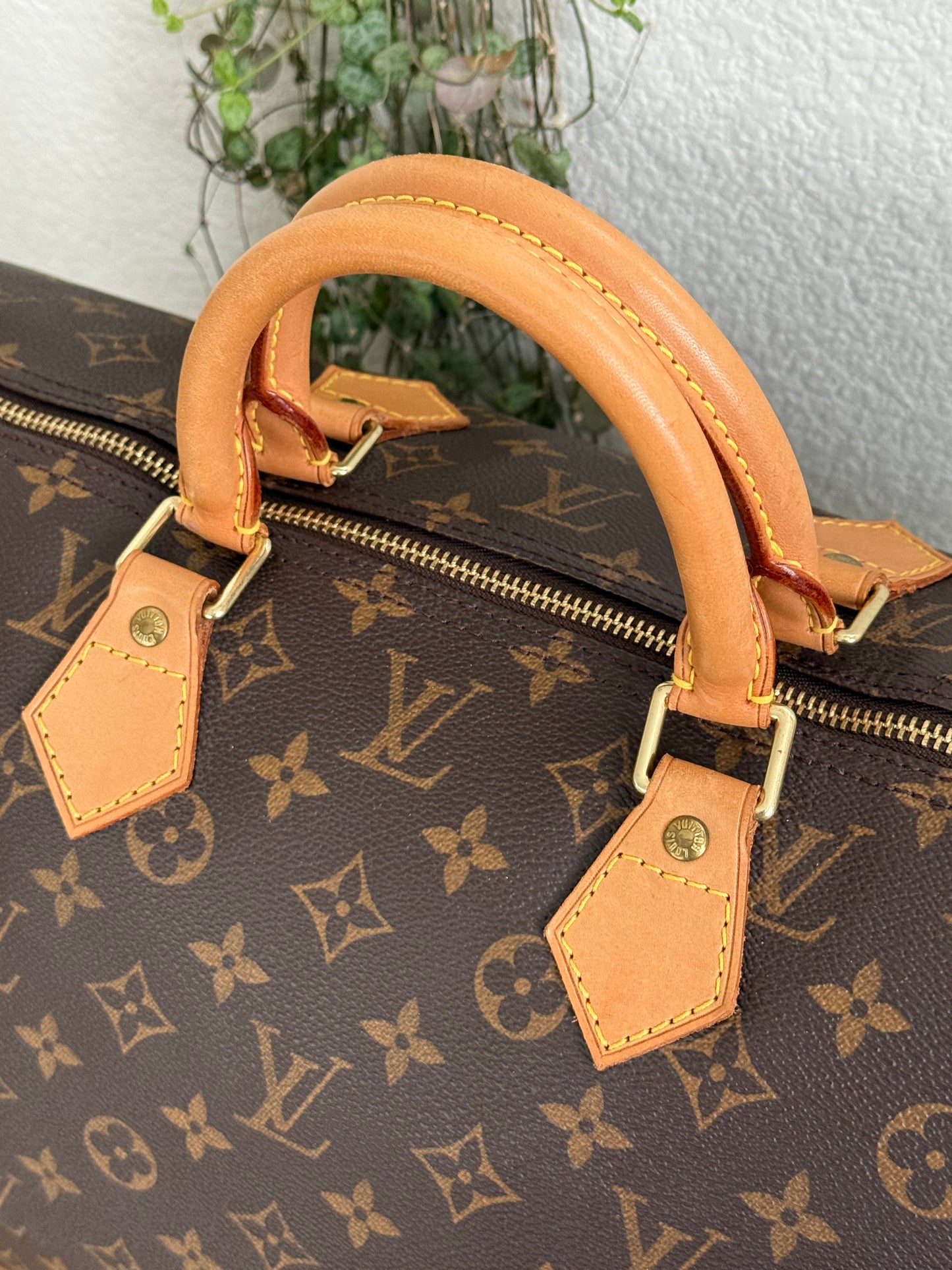Speedy 40 - ๐
2000