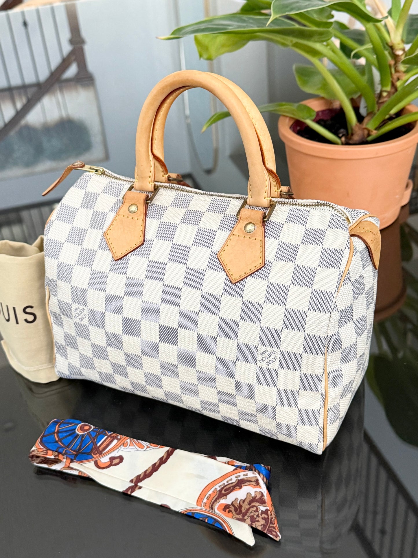 Speedy 25 Azur with, Dustbag, Insert organizer and twilly
๐๏ธ Year: 2008