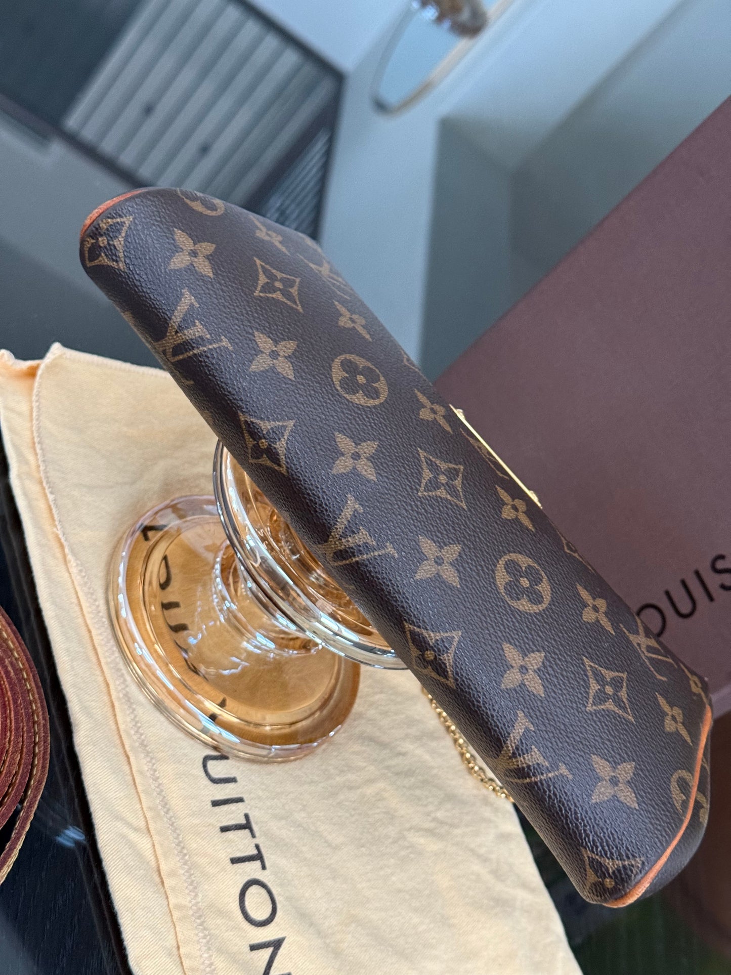 🌻Eva Clutch with Box and Dustbag🌻🗓️ Year: 2012