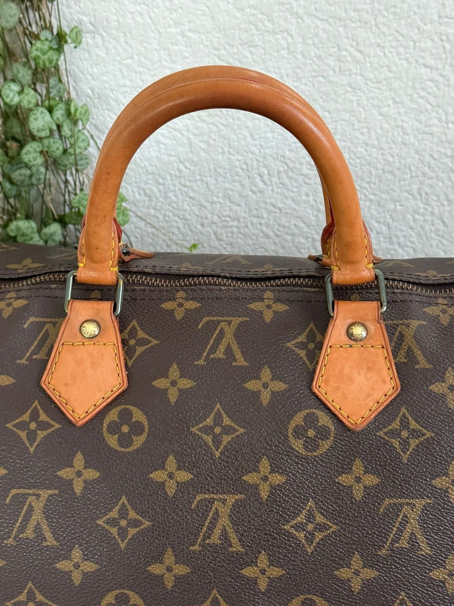 Speedy 40 - π
1990