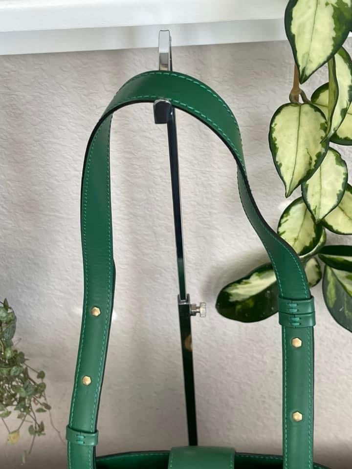 Epi Cluny in Green -Year: 1993