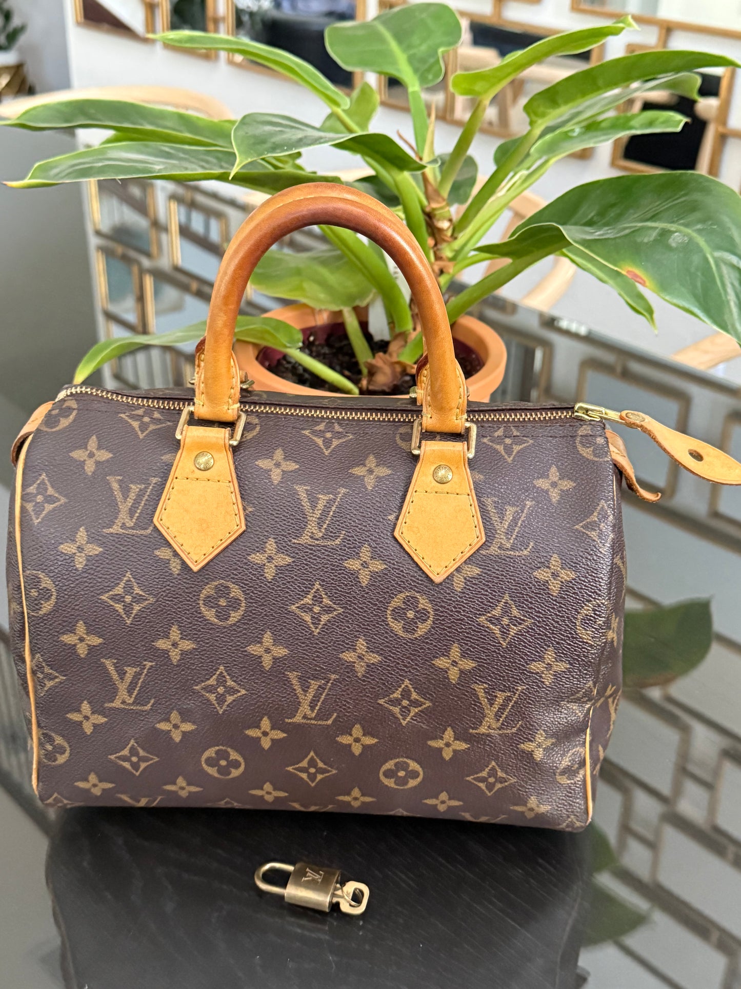 Speedy 25 with 🔐 Lock and Key 🌷Year: 2007