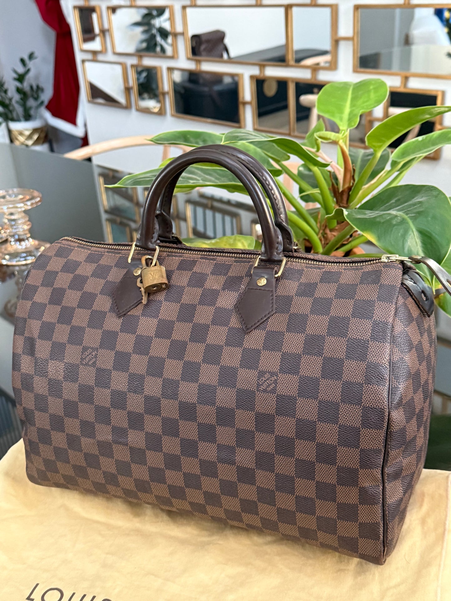 Speedy 35 with π Lock, Key, Dustbag and Insert Organizer-π
Year: 2012
